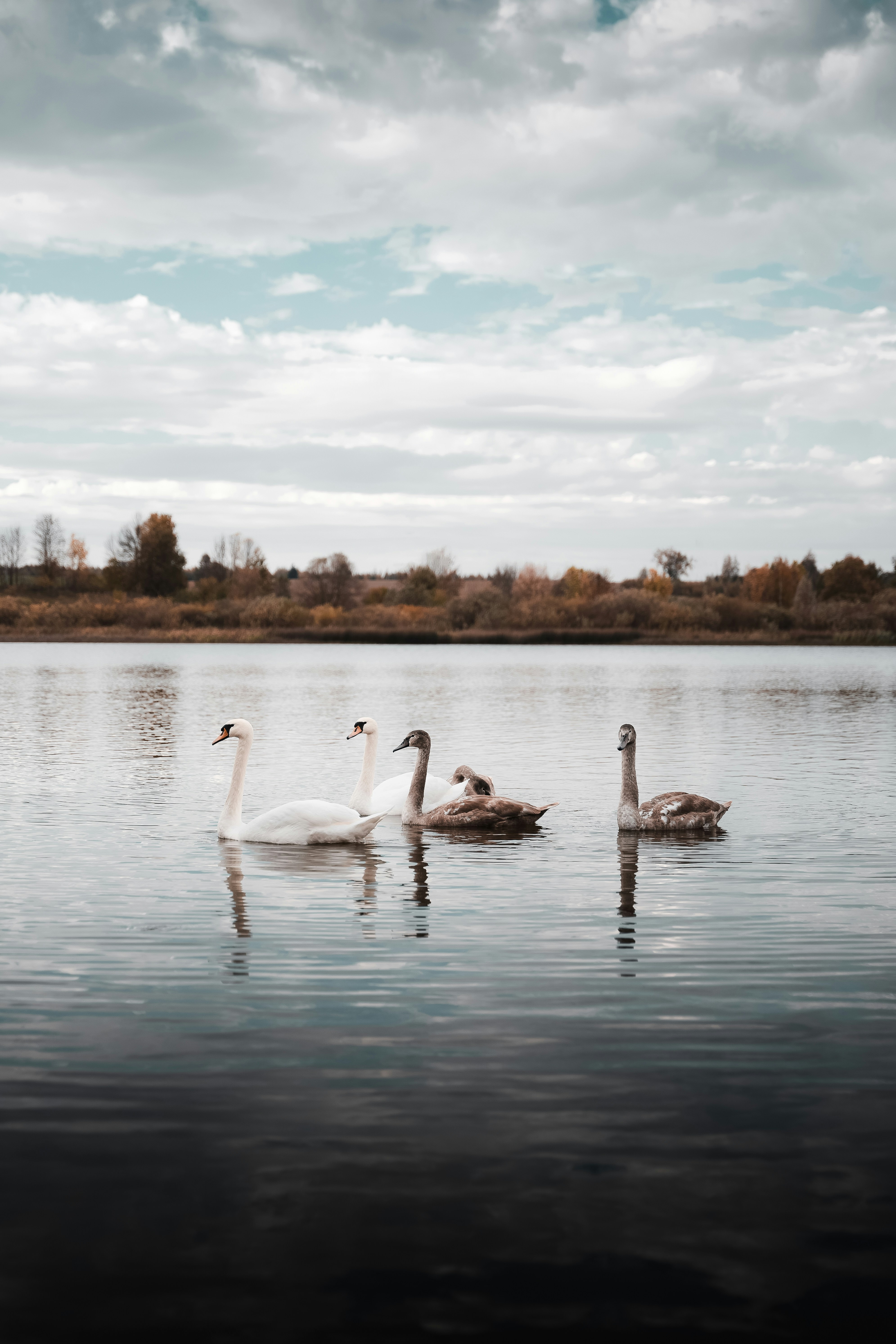 calm wallpaper nature, wallpaper, 6 Cara Mengatasi Mulut Pahit dan Mual yang Efektif 3