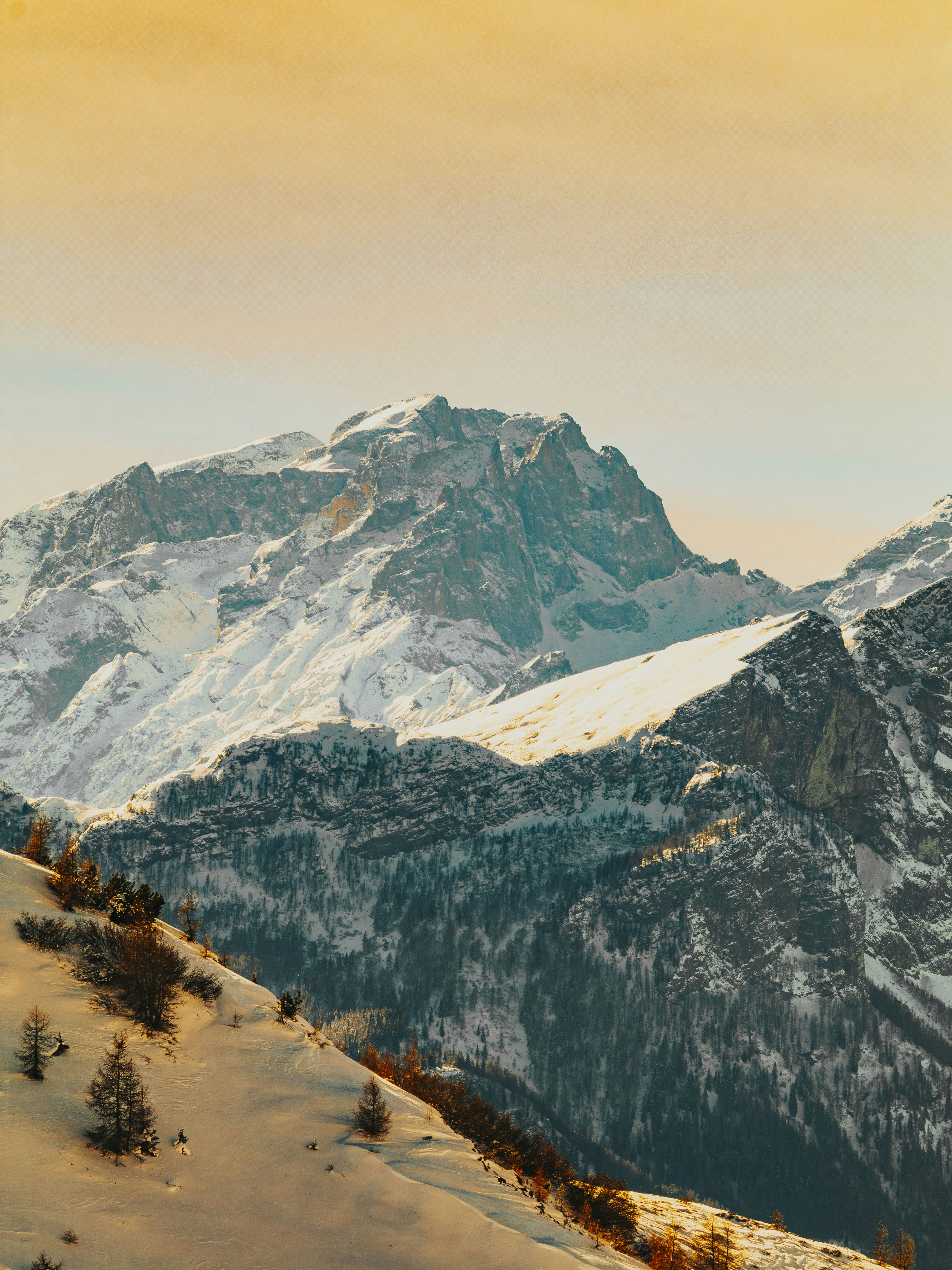 Photo by merlin_photo