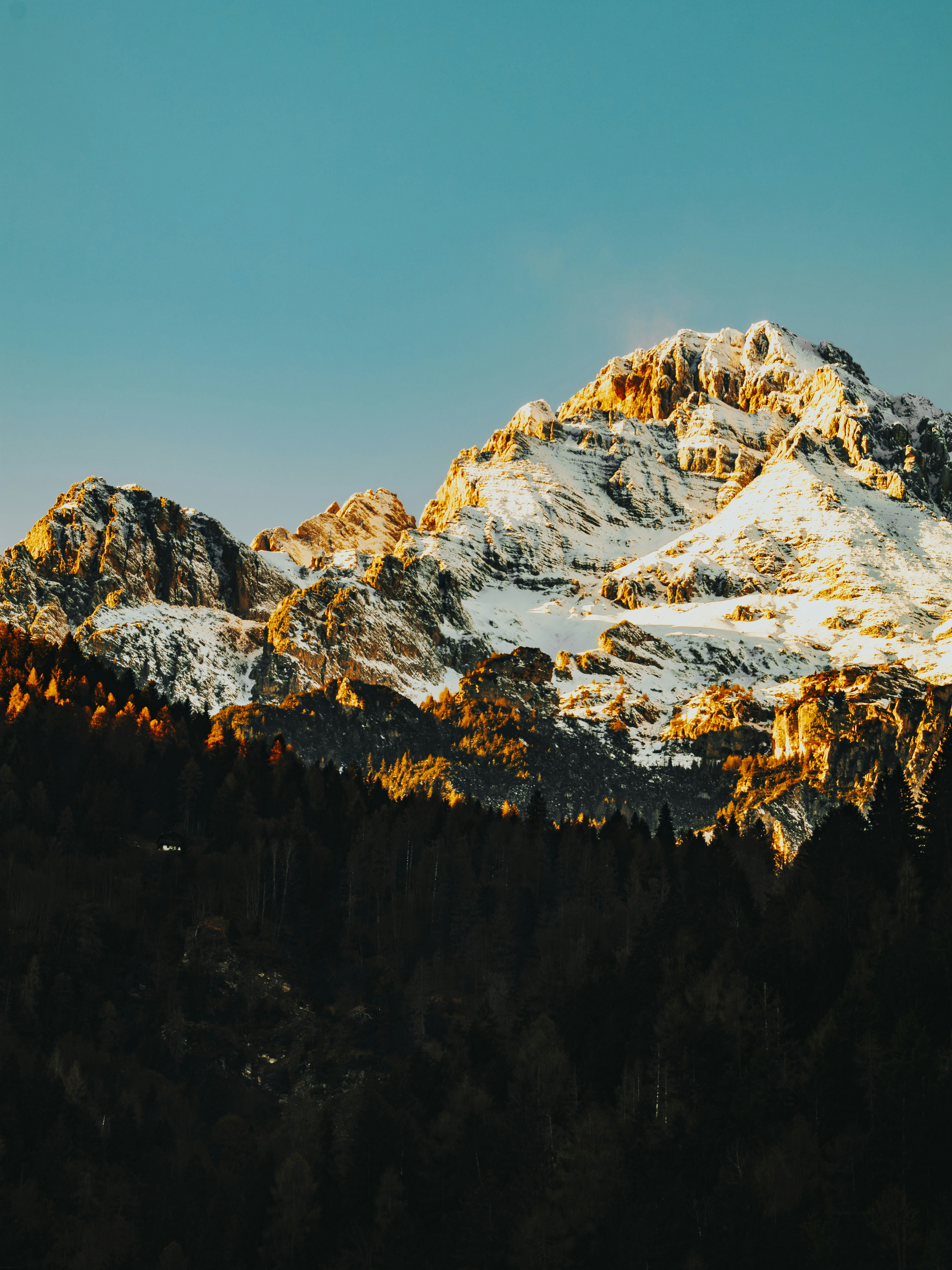 Photo by merlin_photo