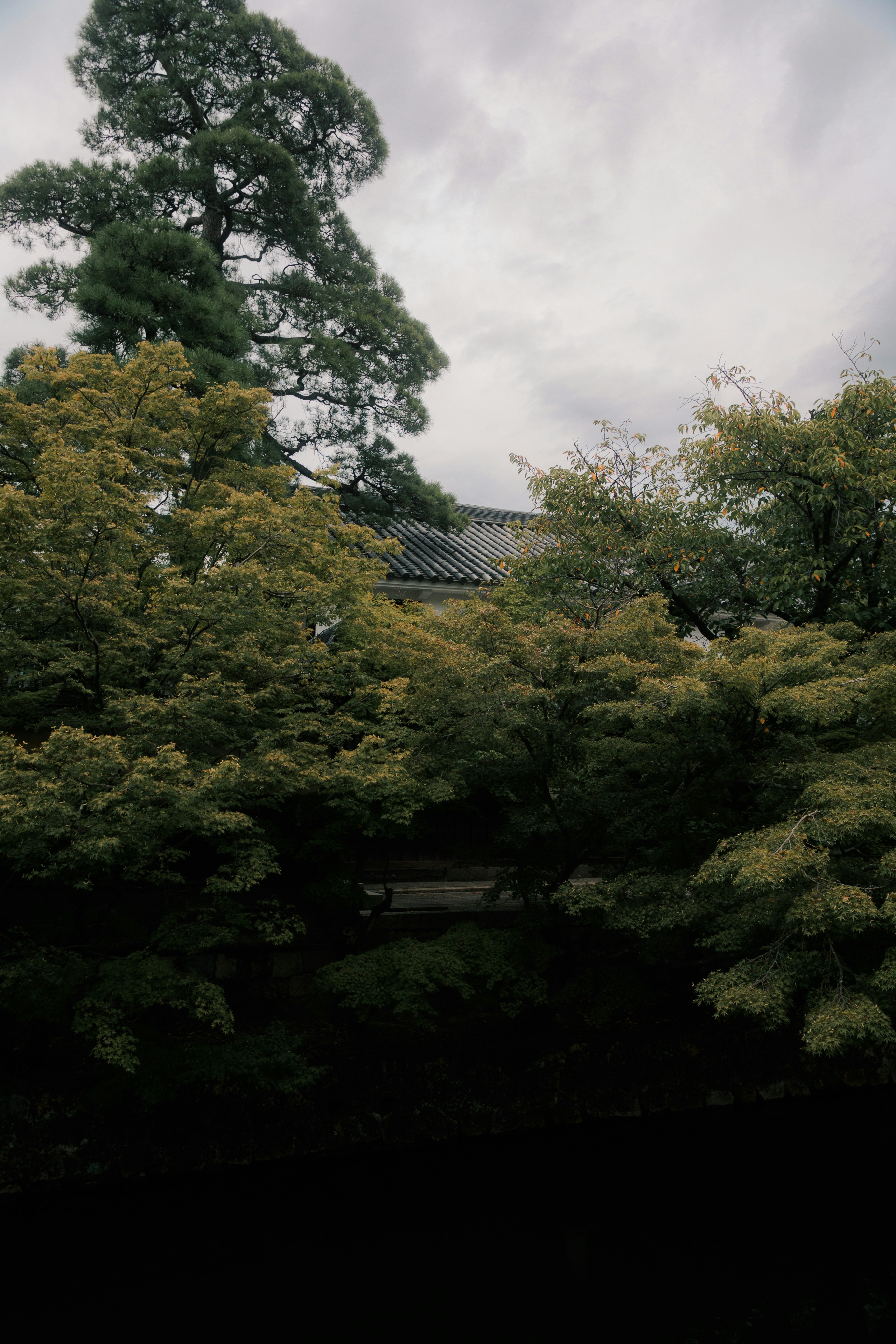 Photo by gakusuyama