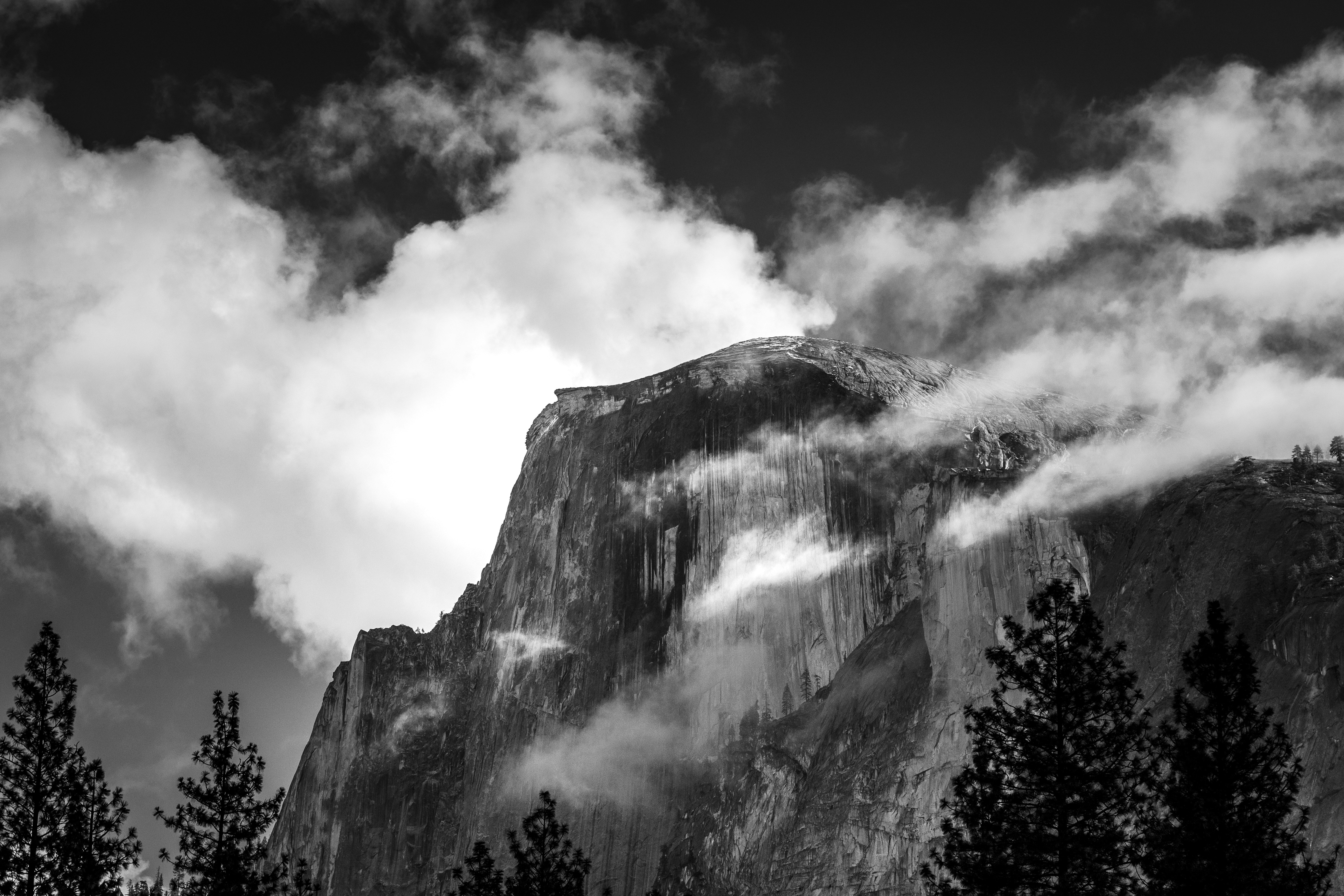 Photo by leo_visions_