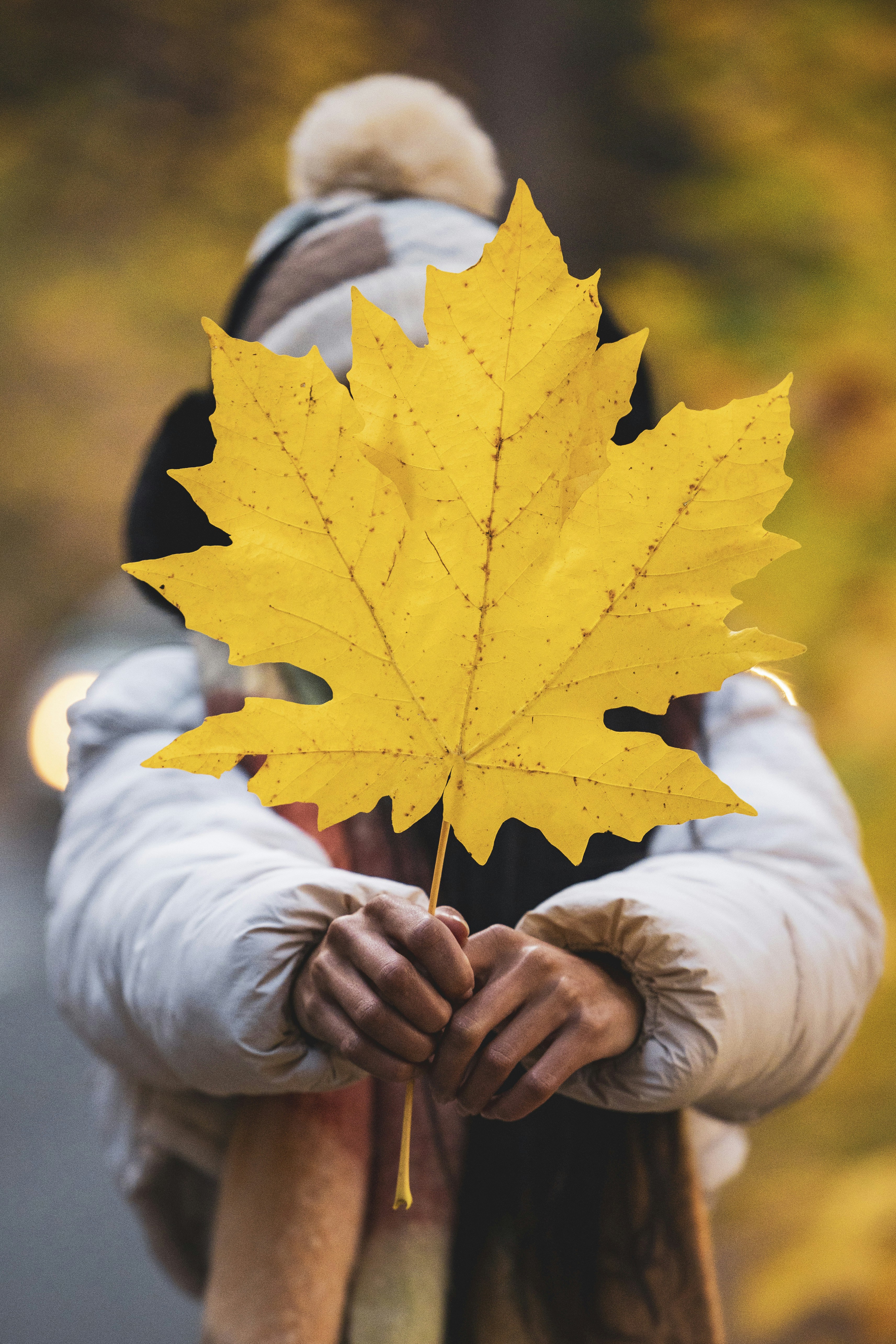 Photo by leo_visions_