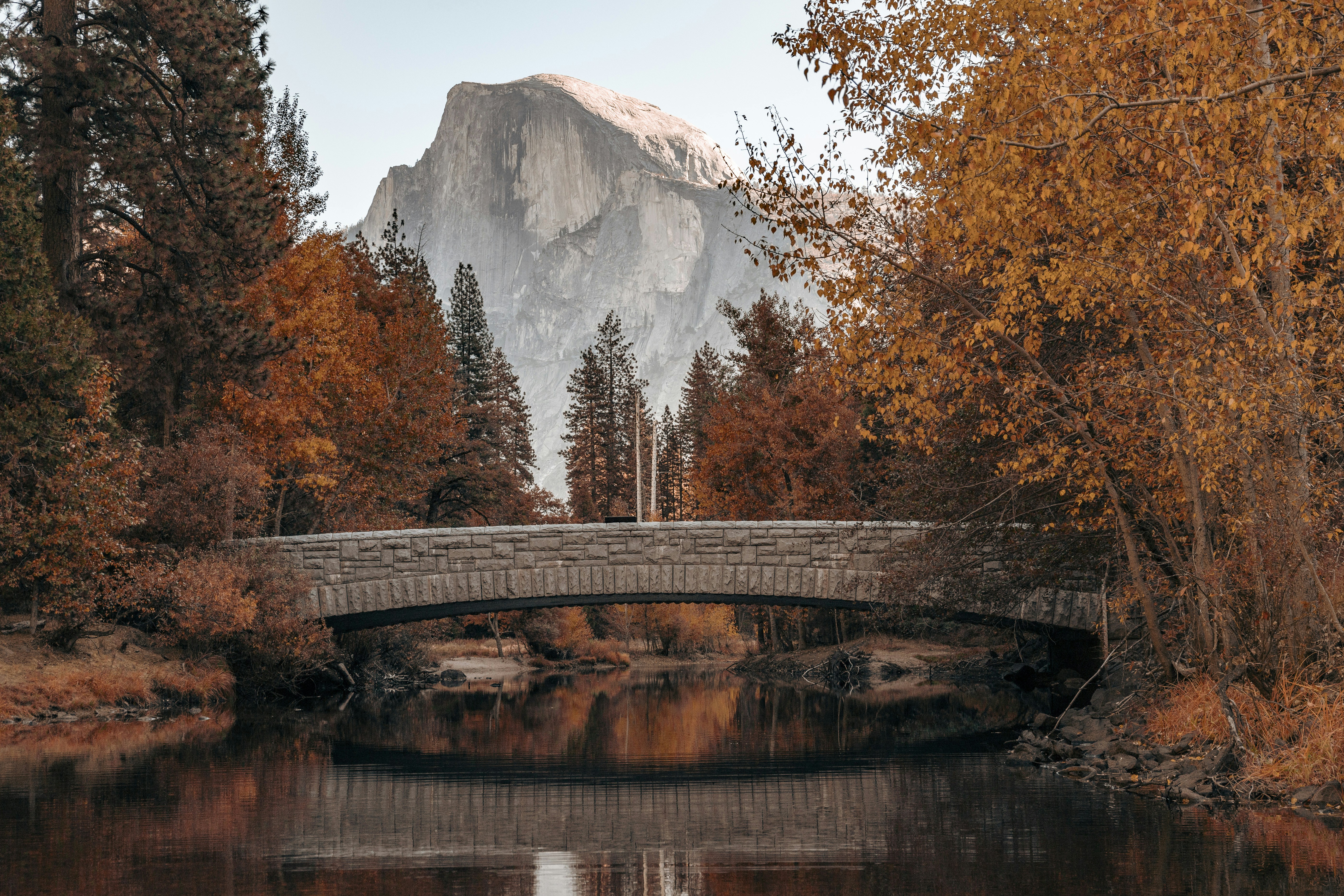 Photo by leo_visions_