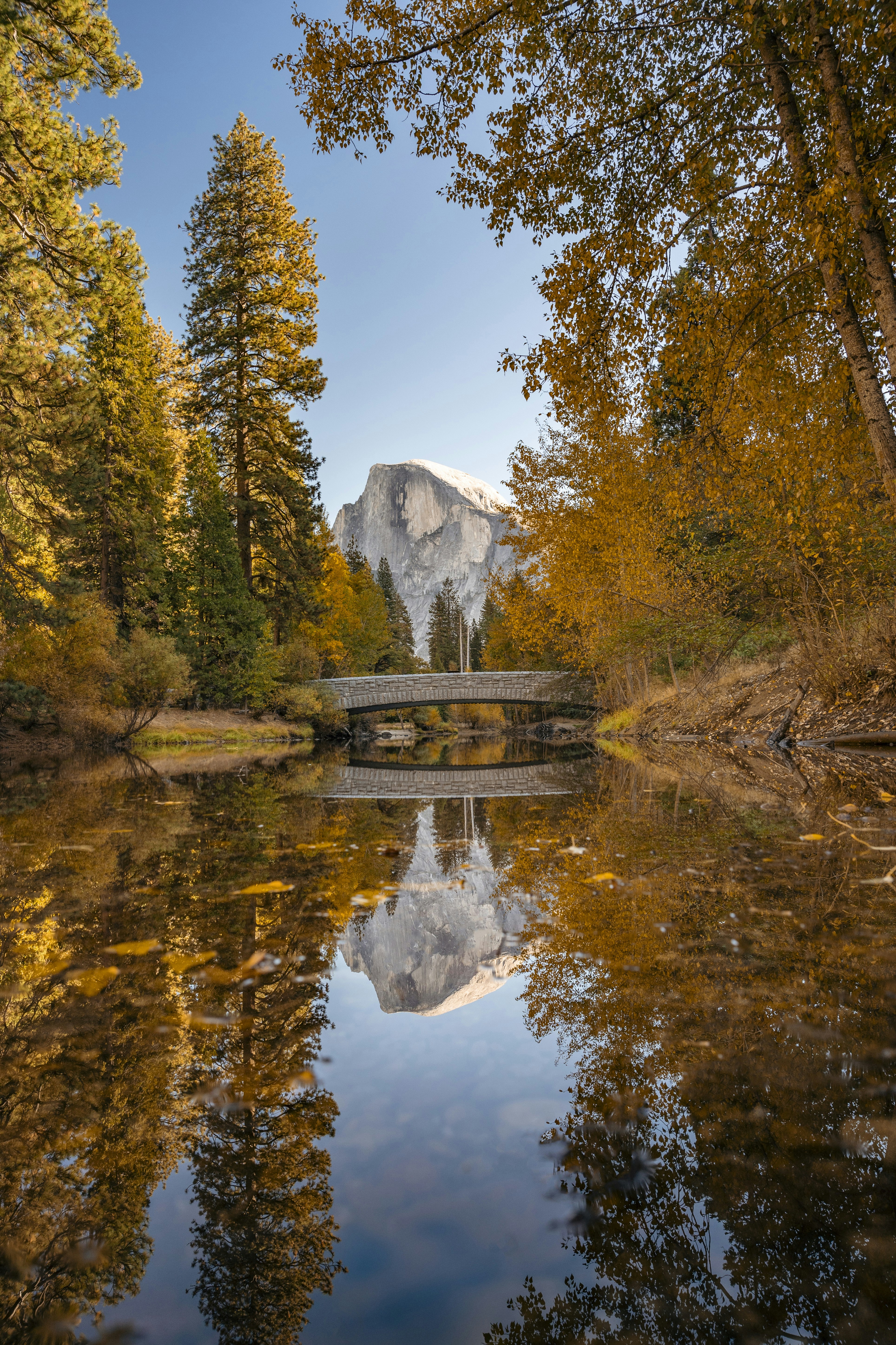 Photo by leo_visions_