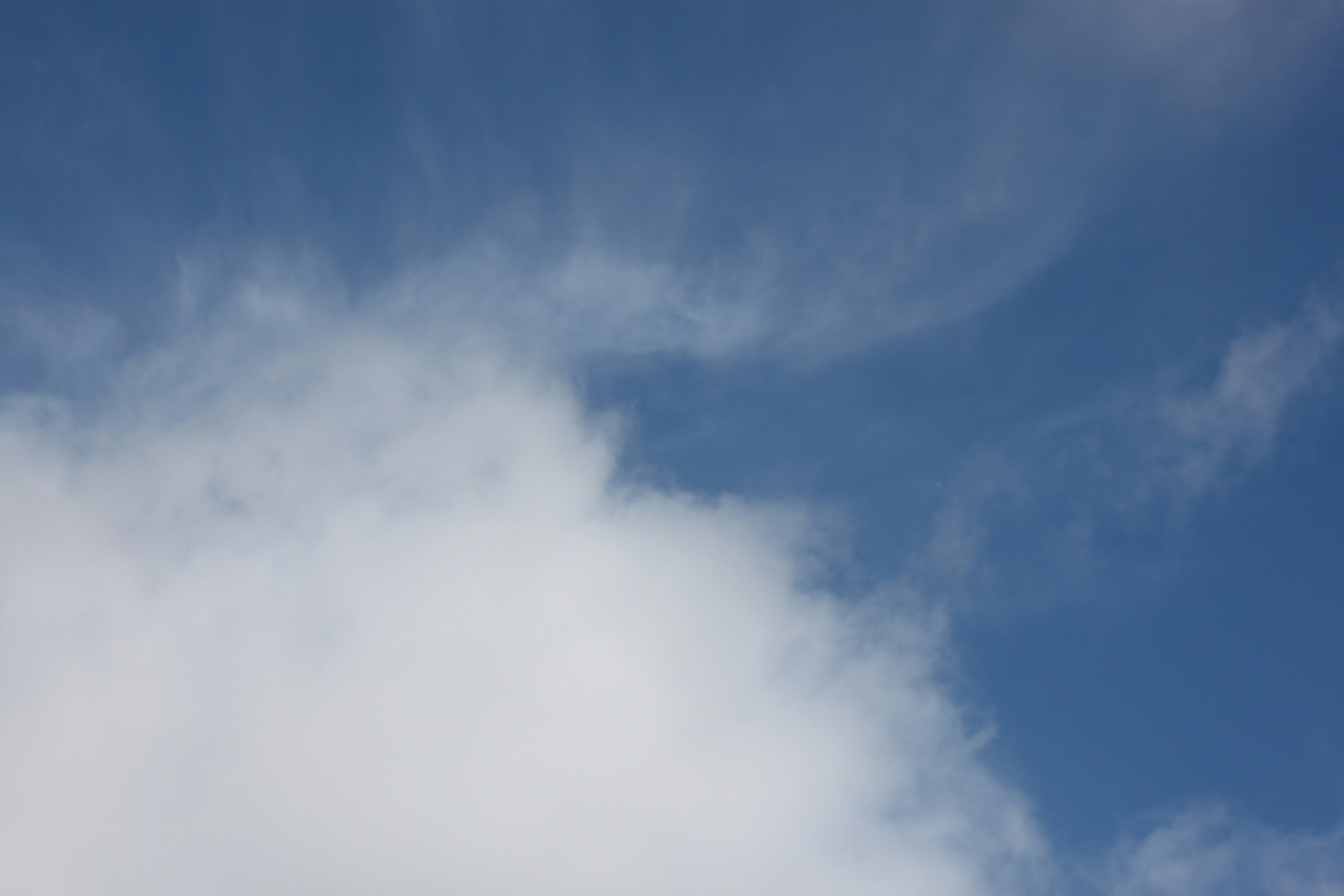 Photo by rubyphotography