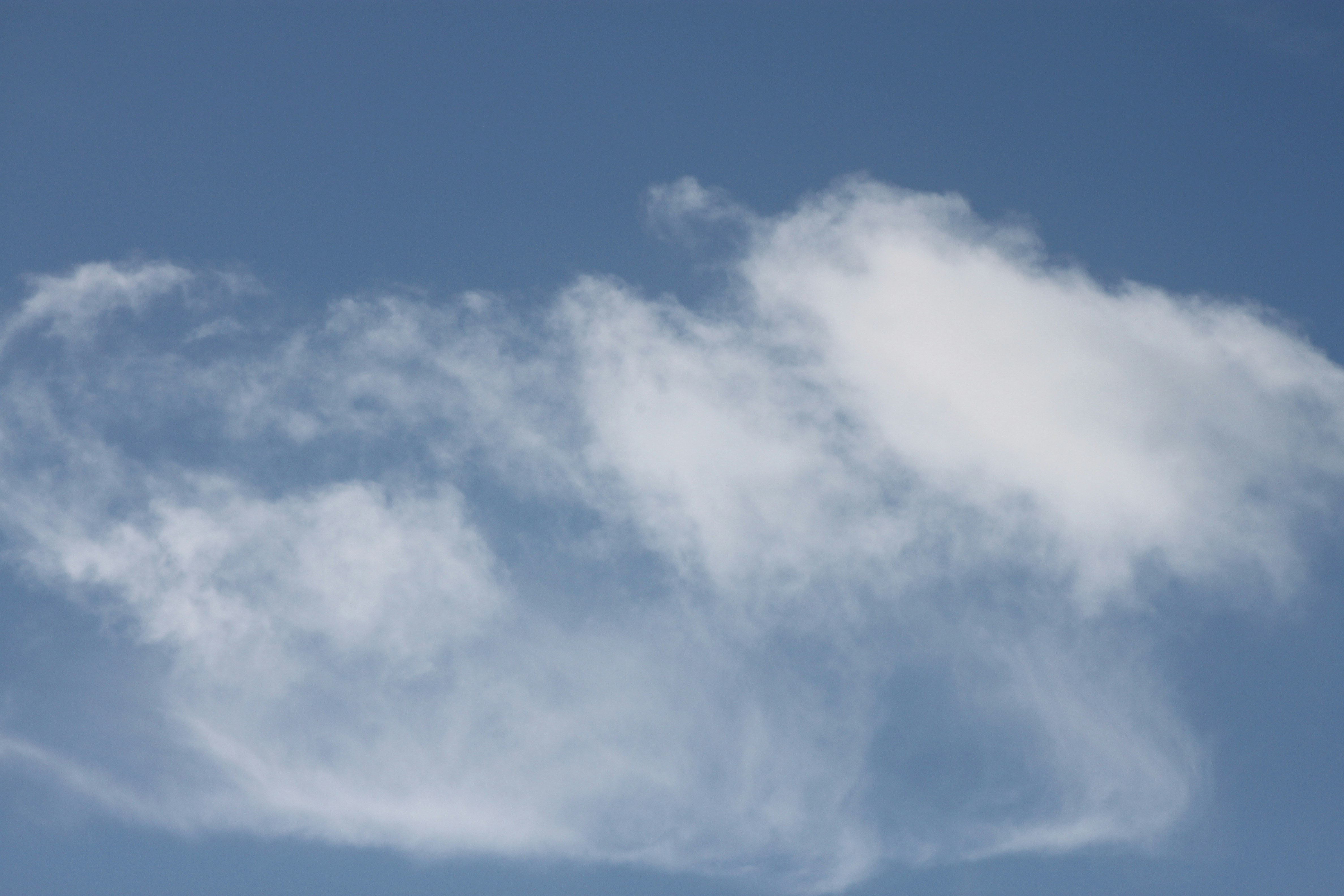 Photo by rubyphotography