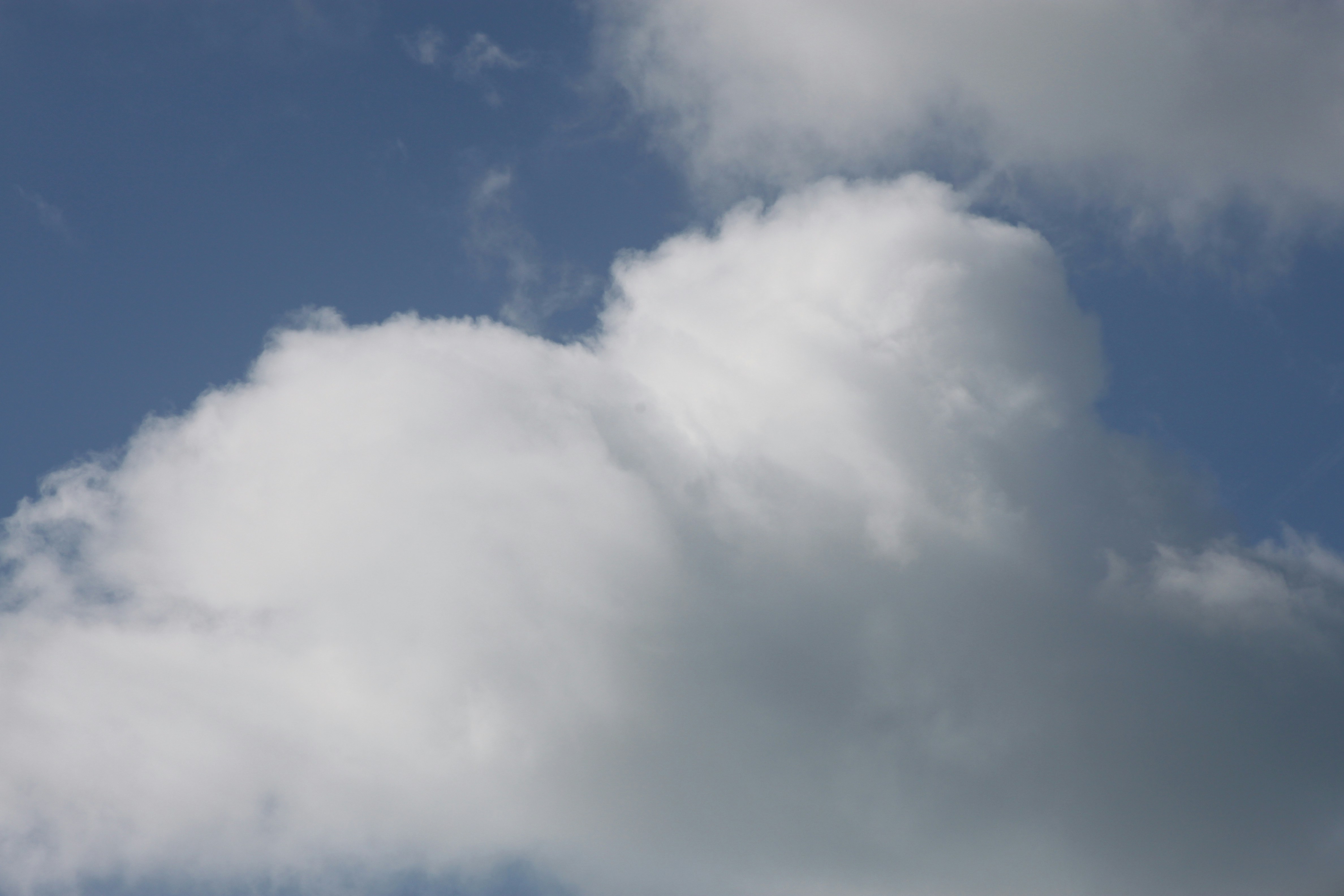 Photo by rubyphotography