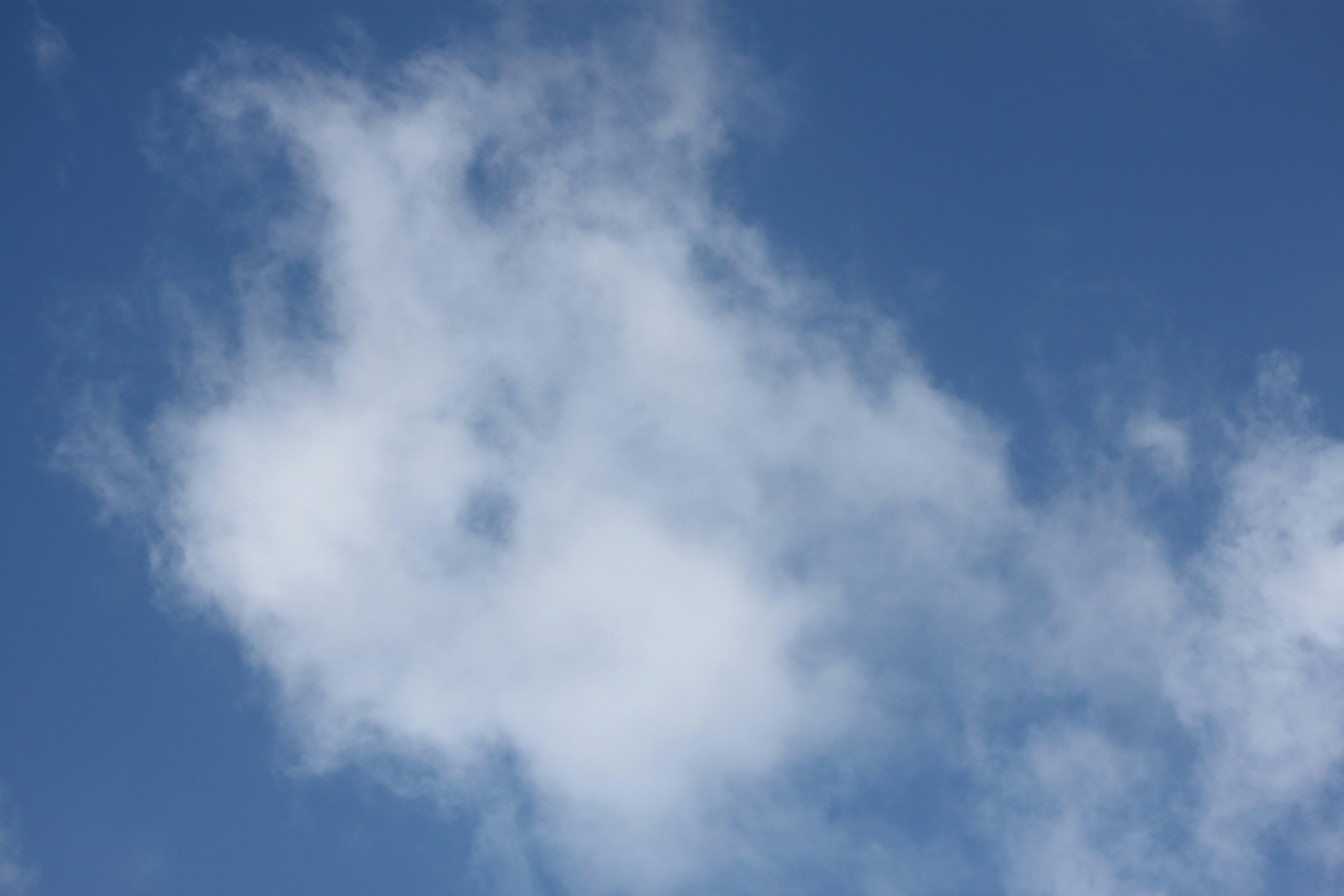 Photo by rubyphotography