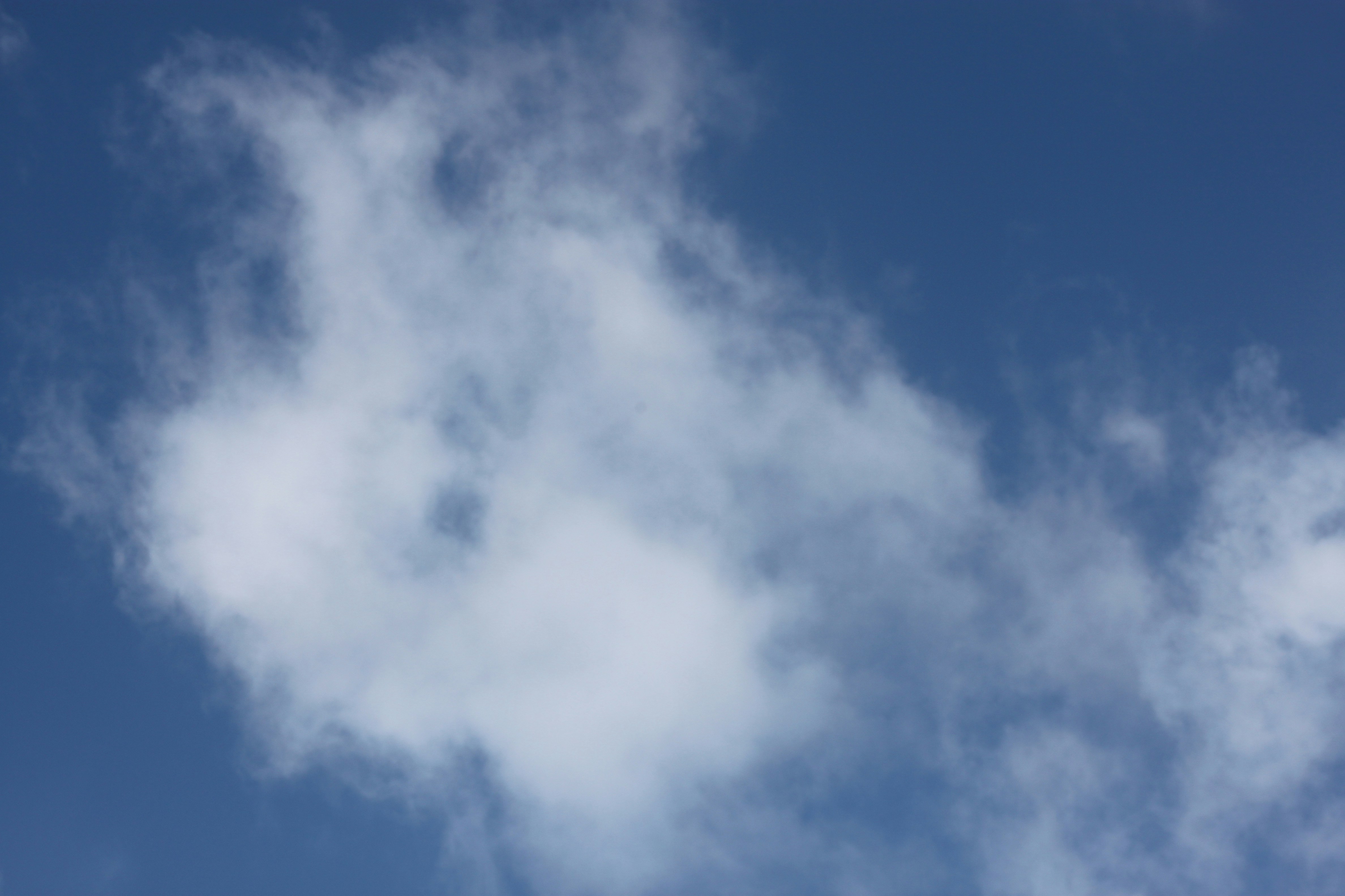 Photo by rubyphotography