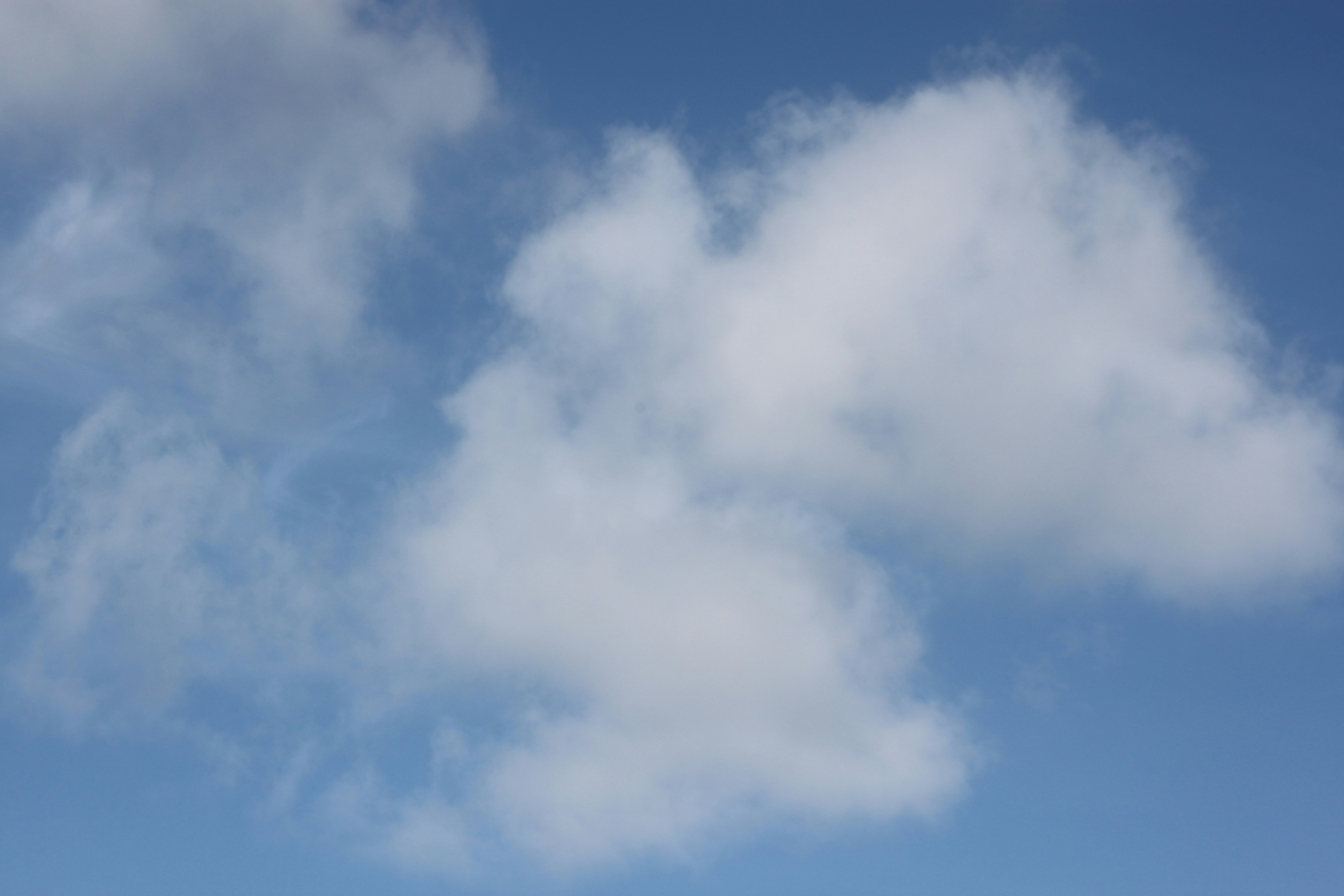 Photo by rubyphotography