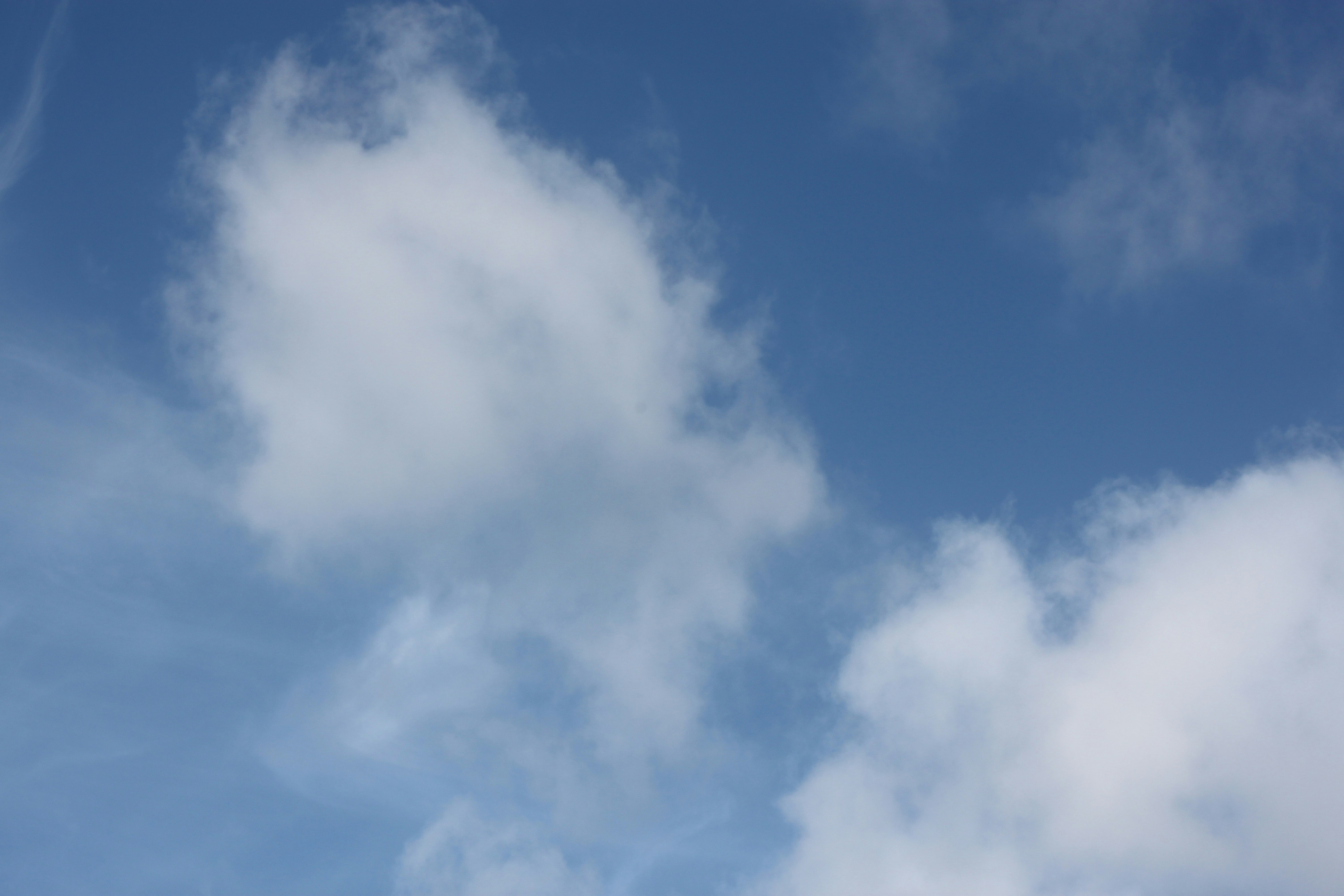 Photo by rubyphotography