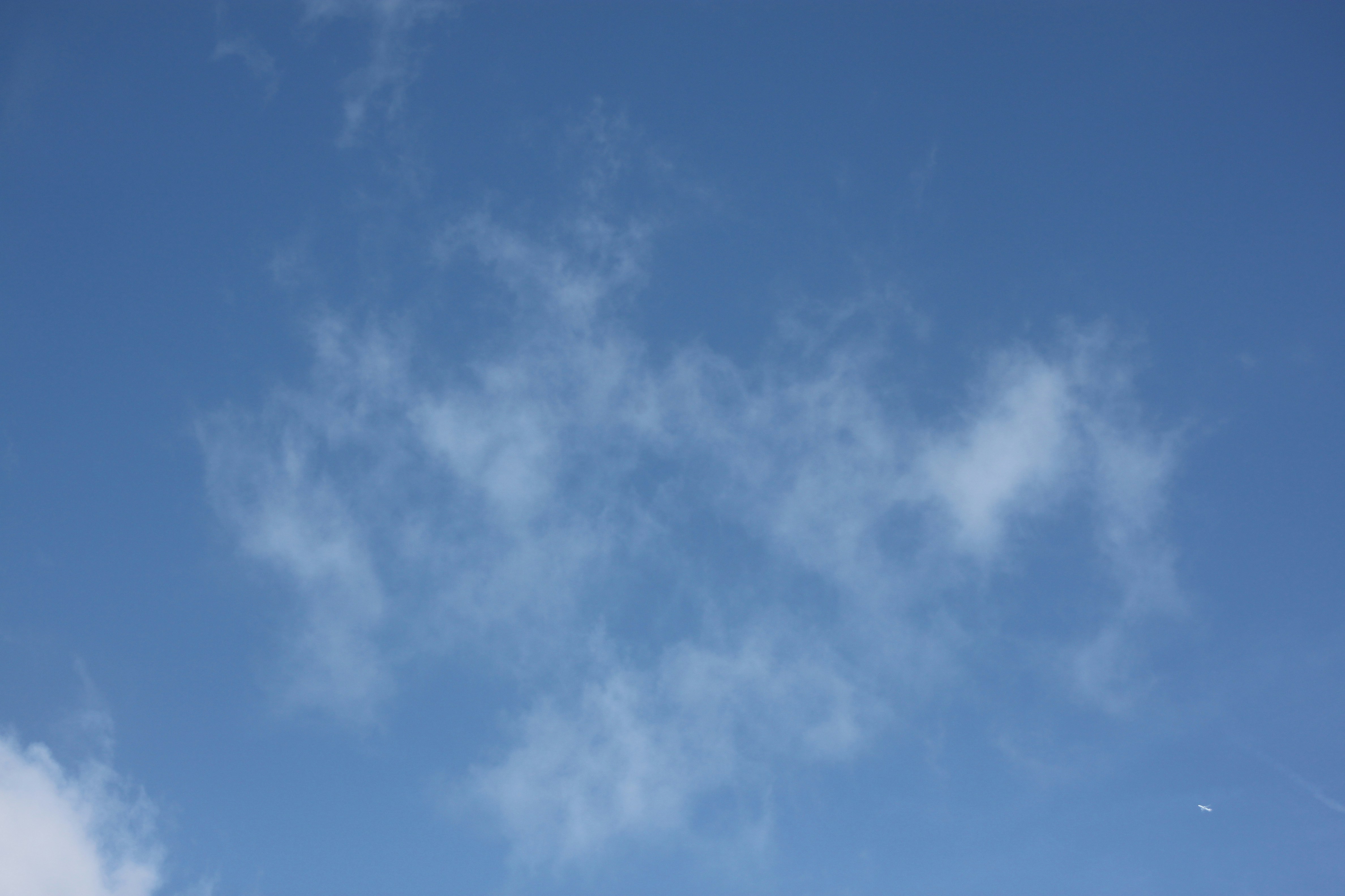 Photo by rubyphotography