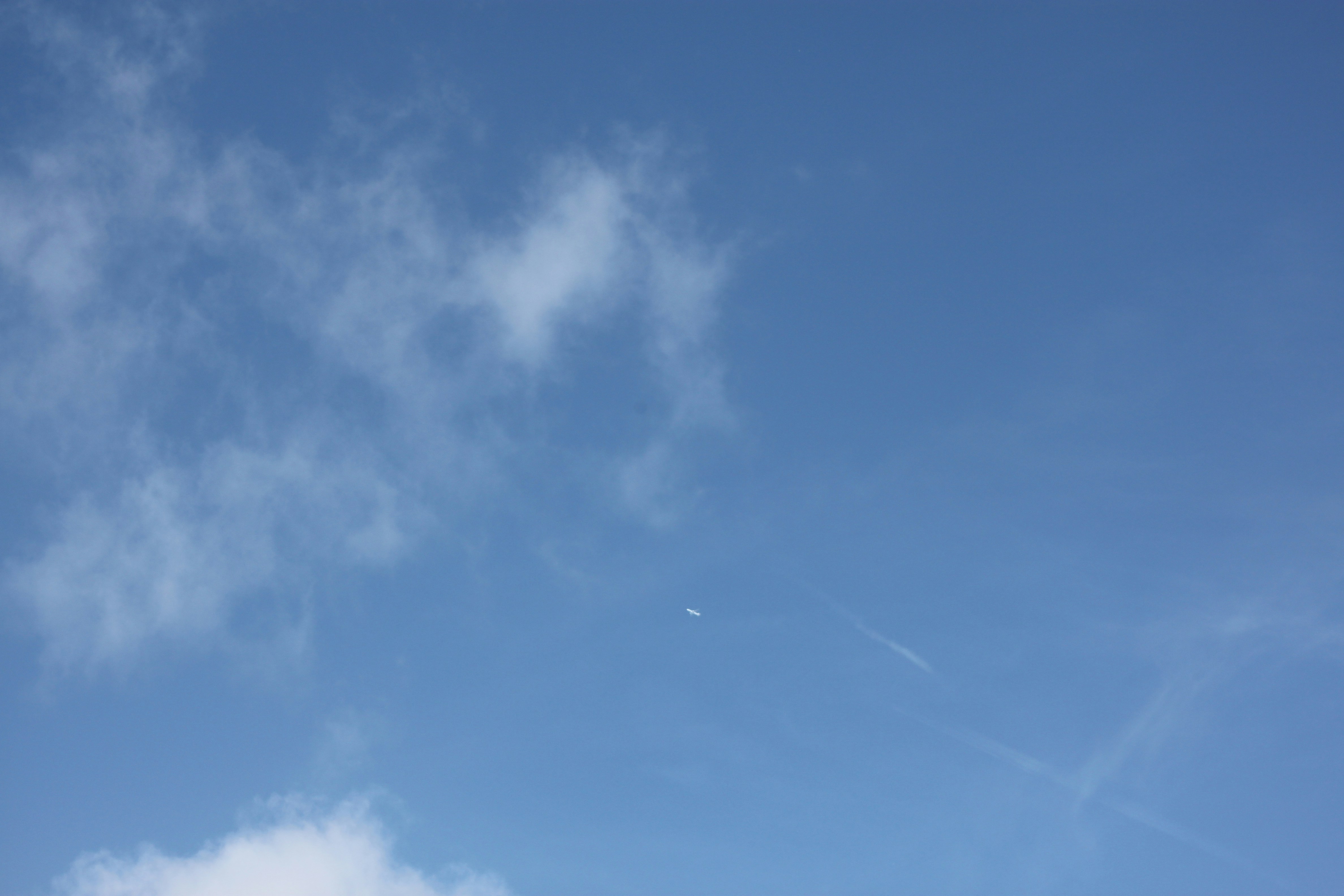 Photo by rubyphotography