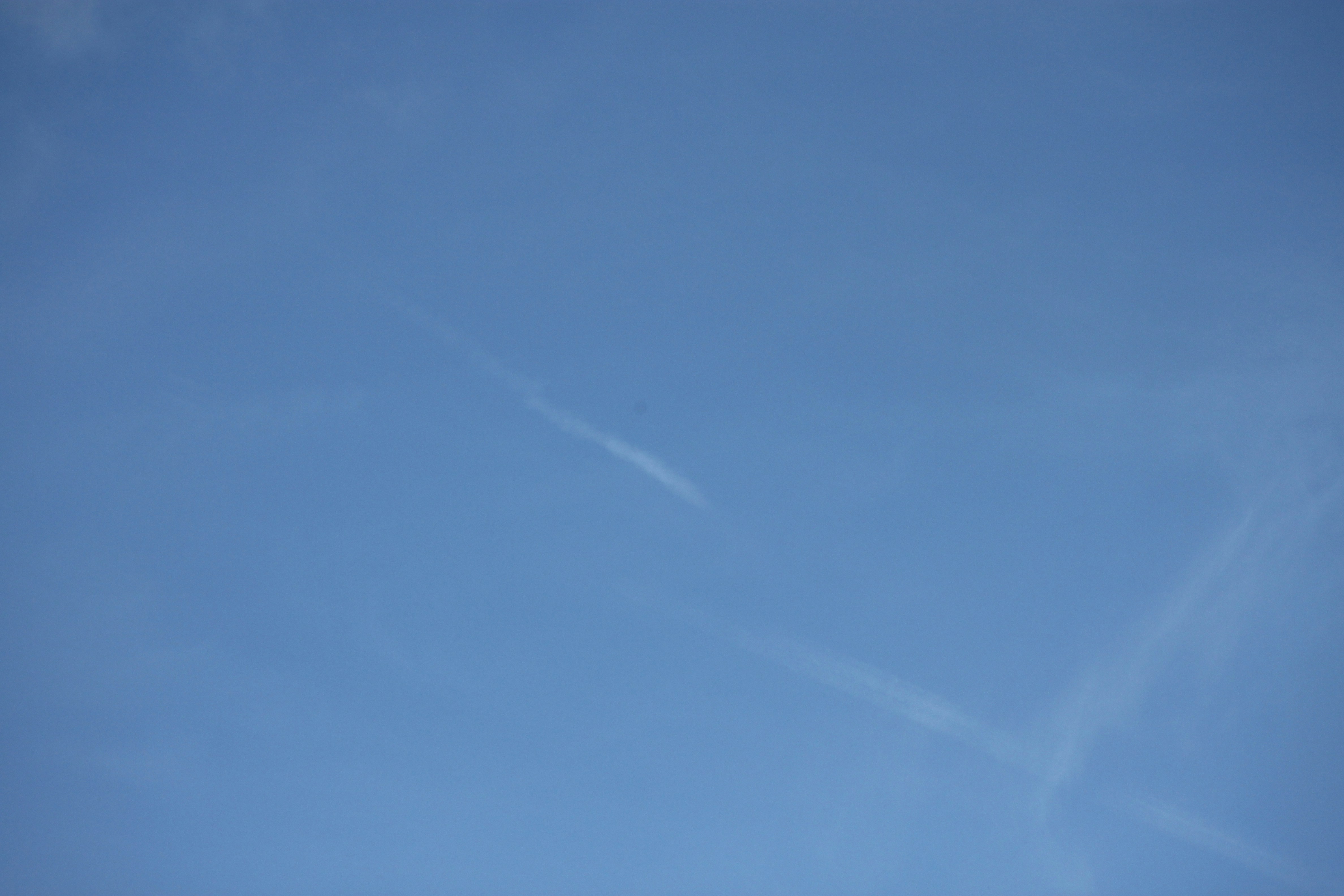 Photo by rubyphotography