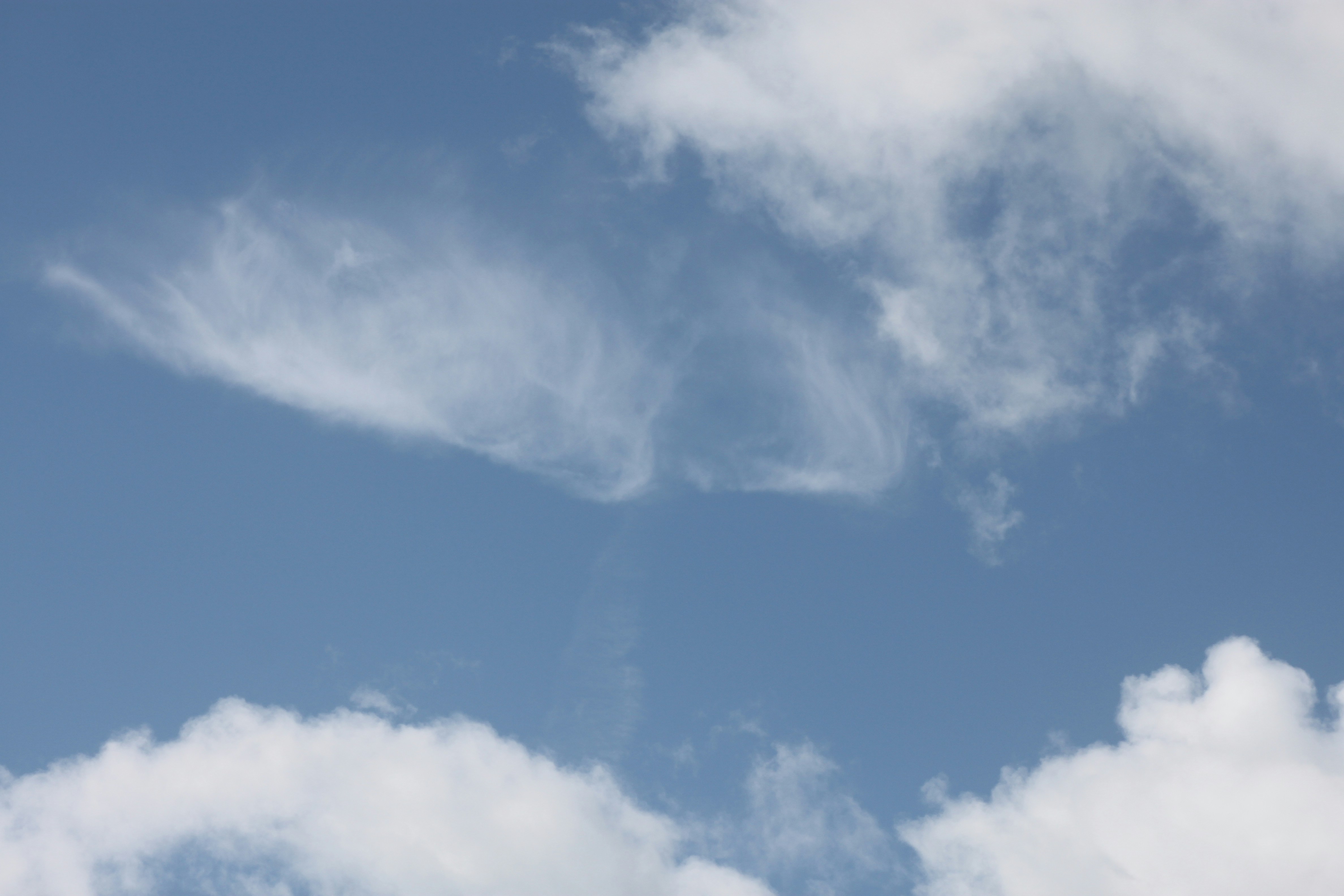 Photo by rubyphotography