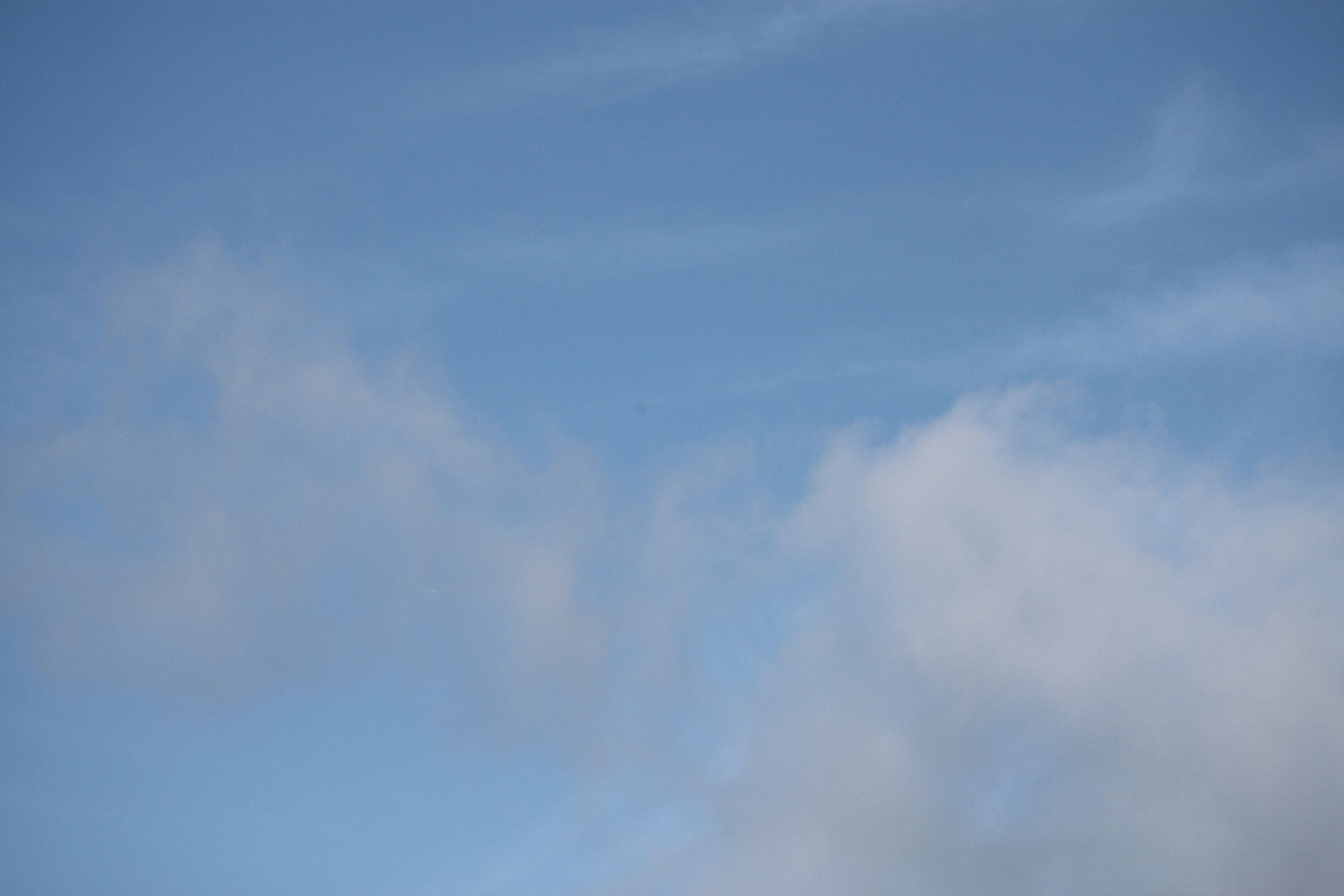 Photo by rubyphotography