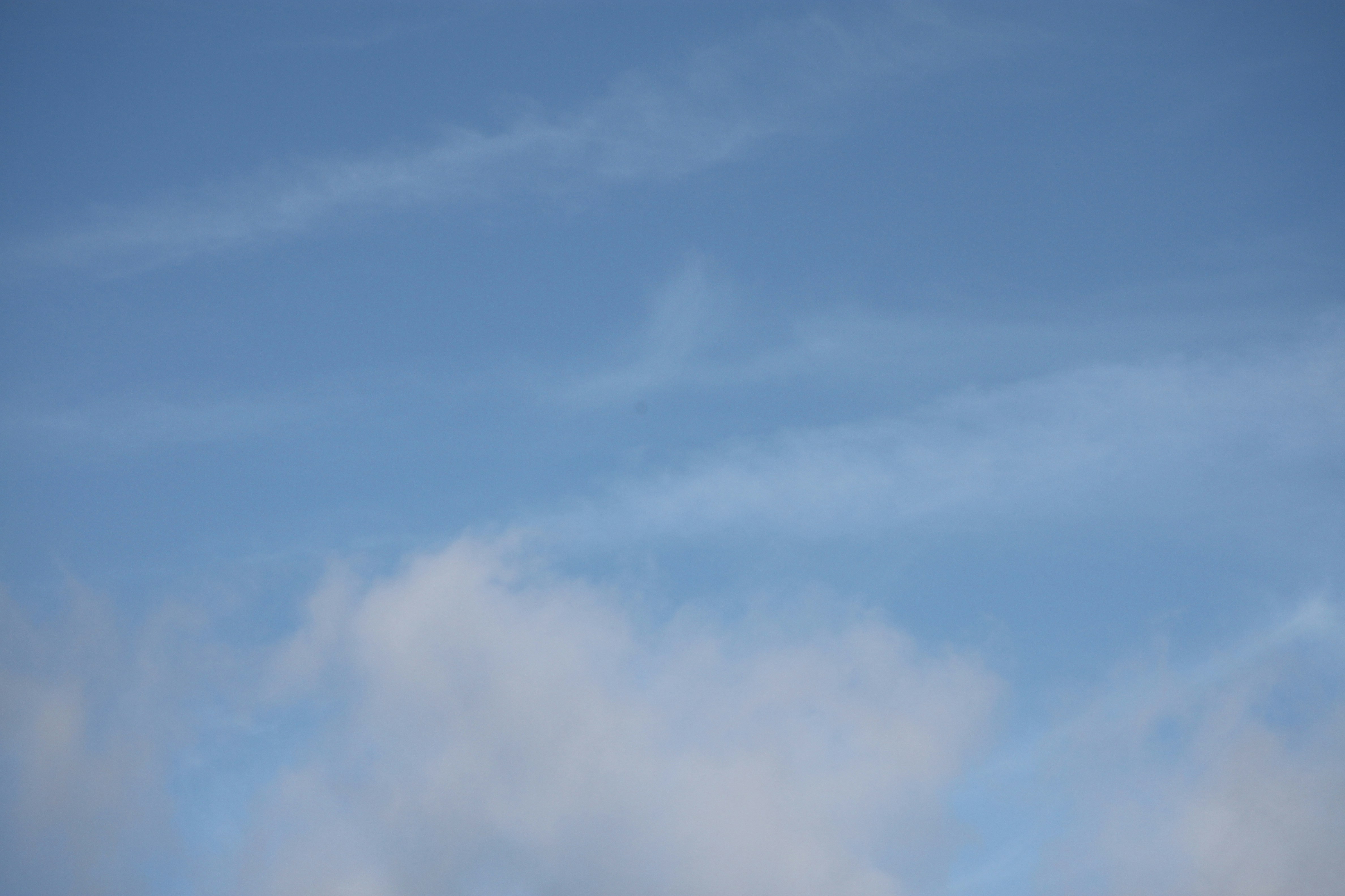 Photo by rubyphotography