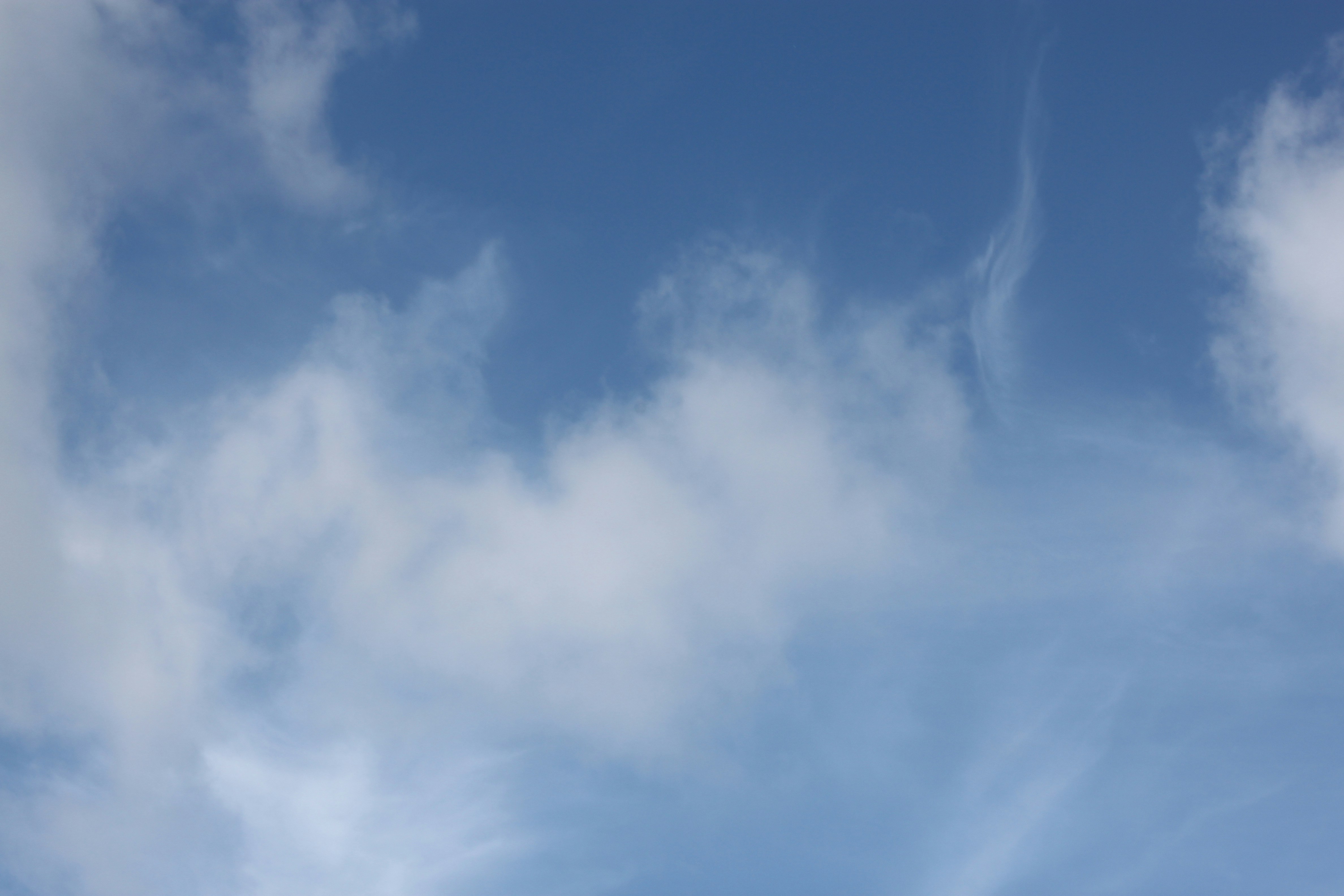 Photo by rubyphotography