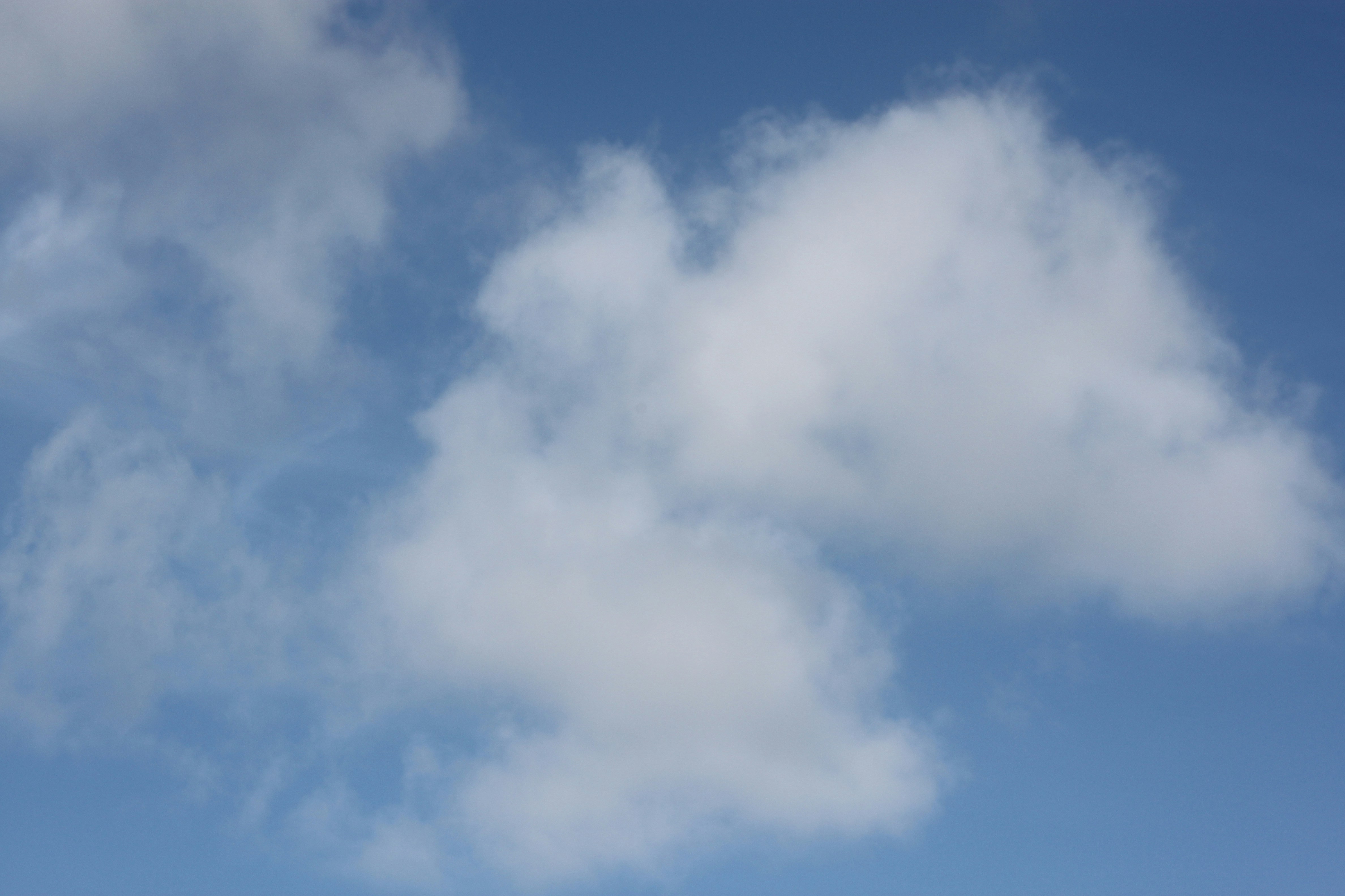 Photo by rubyphotography