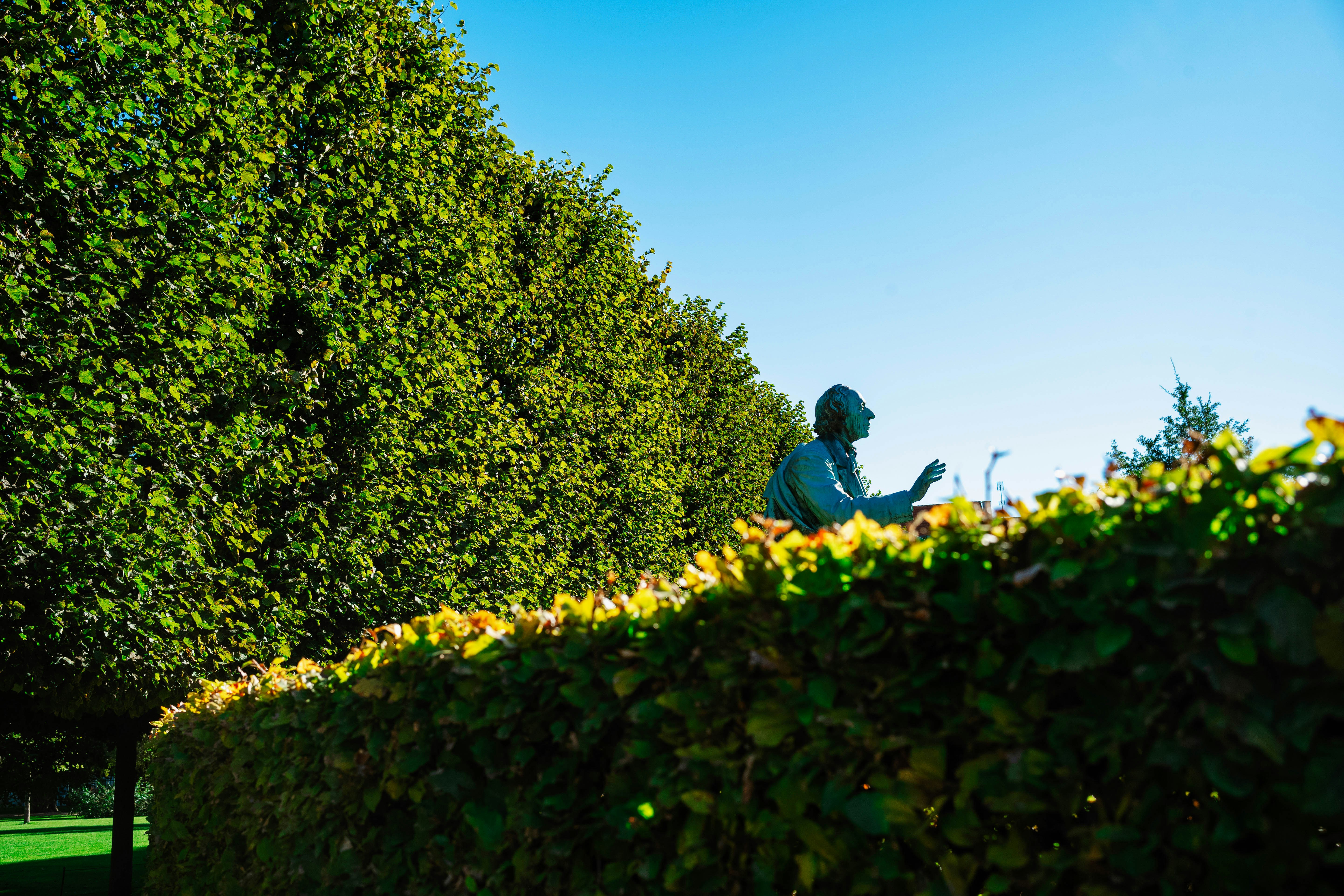 Photo by tommaomaoer