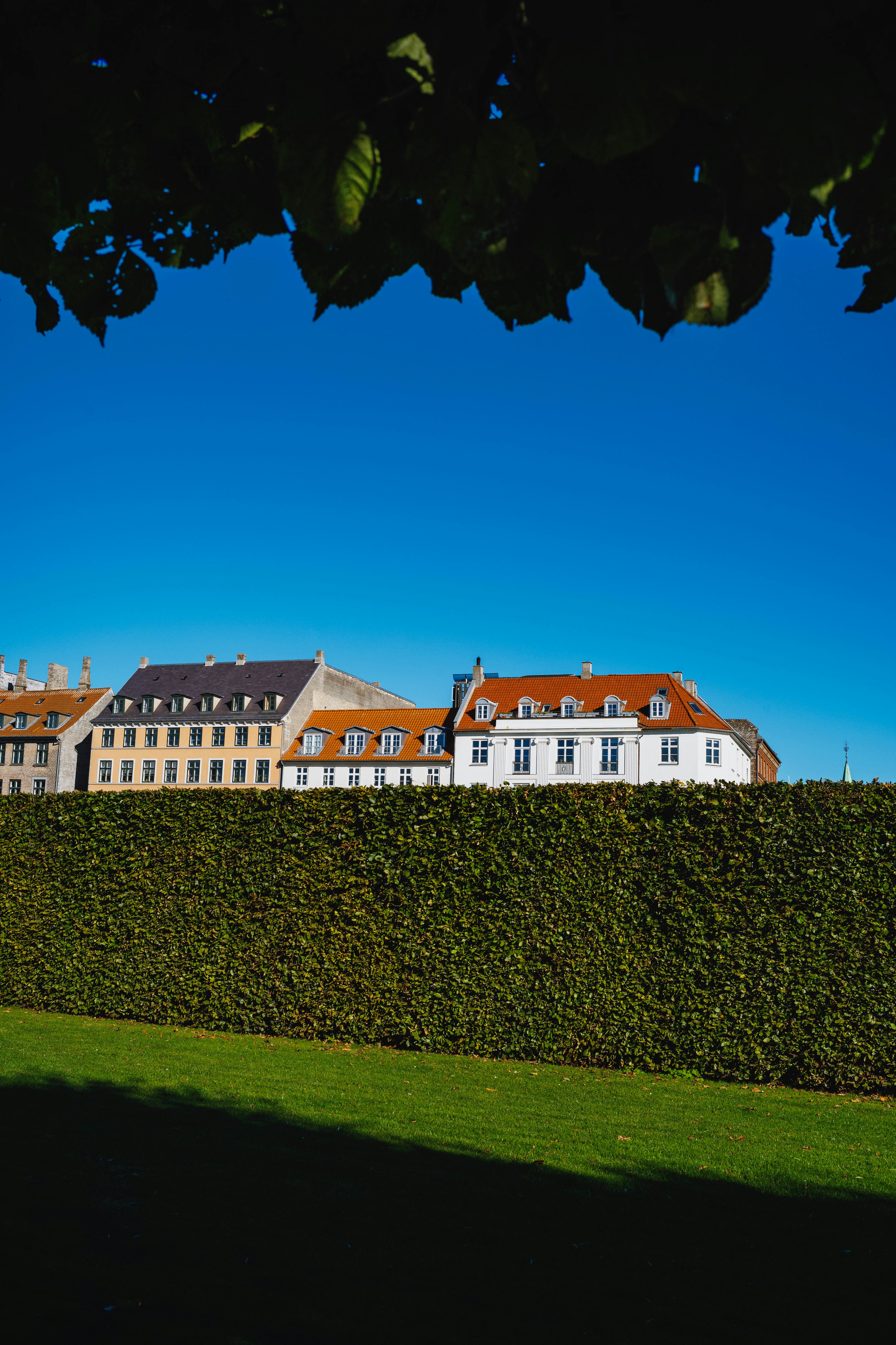 Photo by tommaomaoer