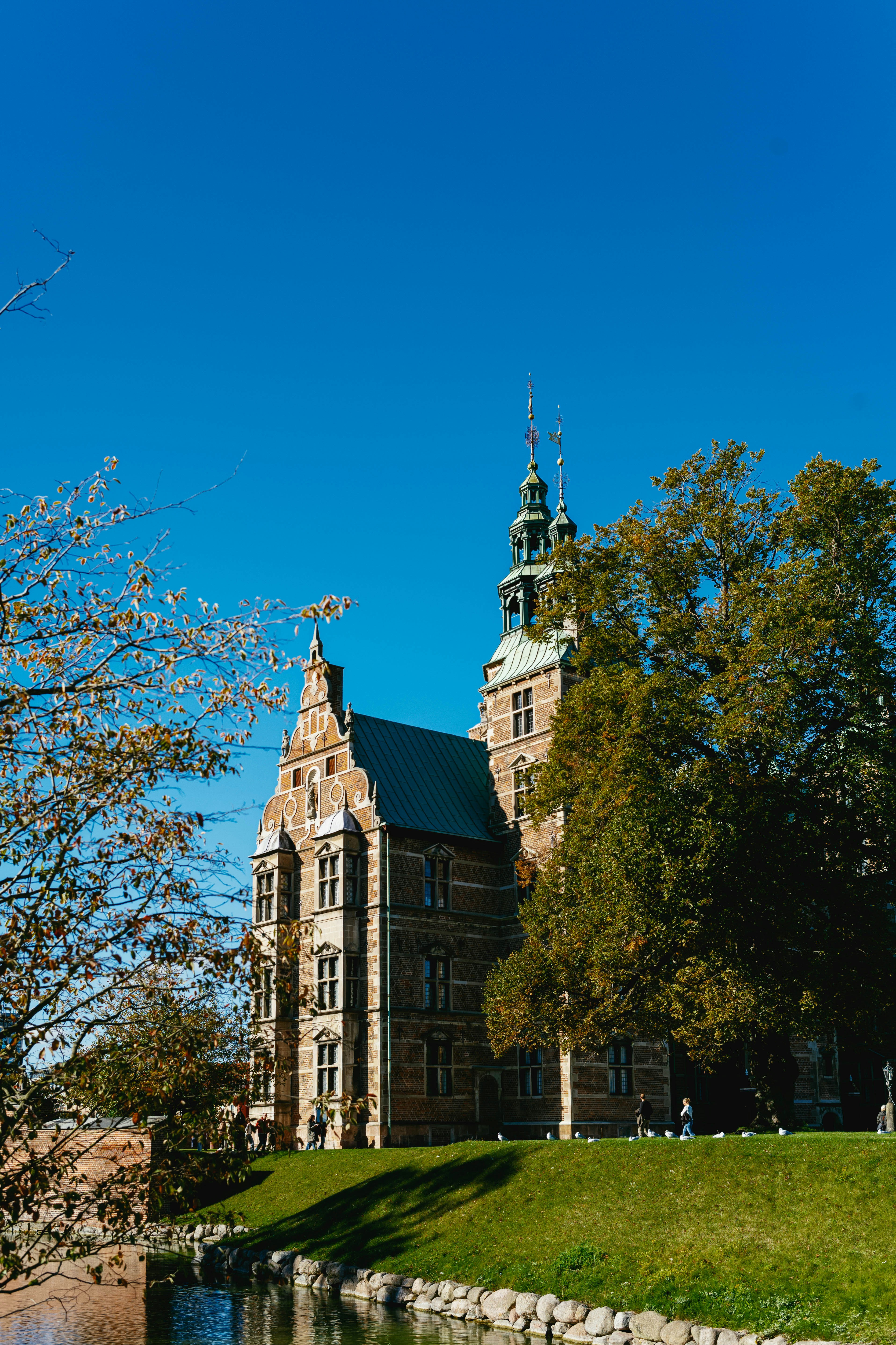 Photo by tommaomaoer