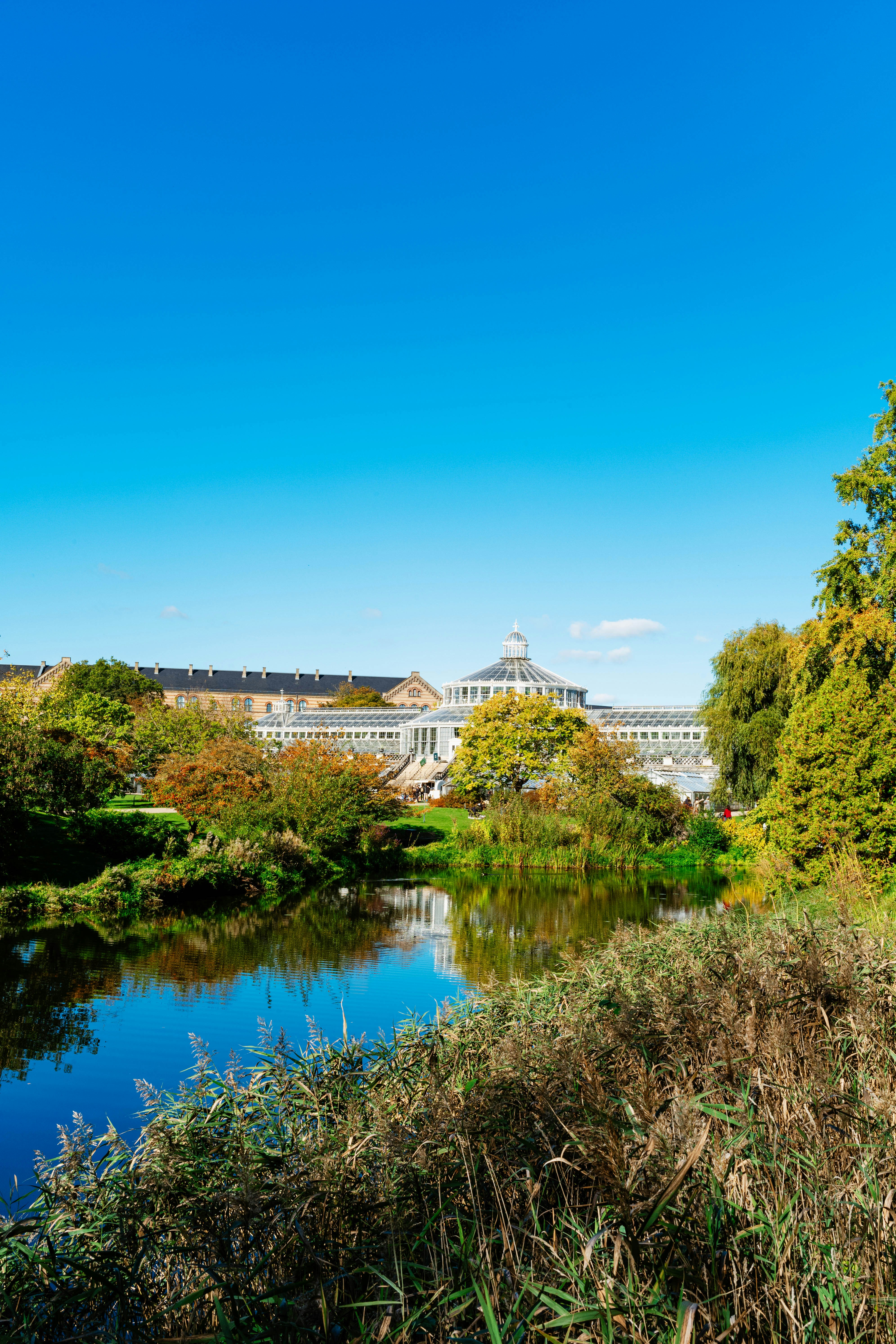 Photo by tommaomaoer