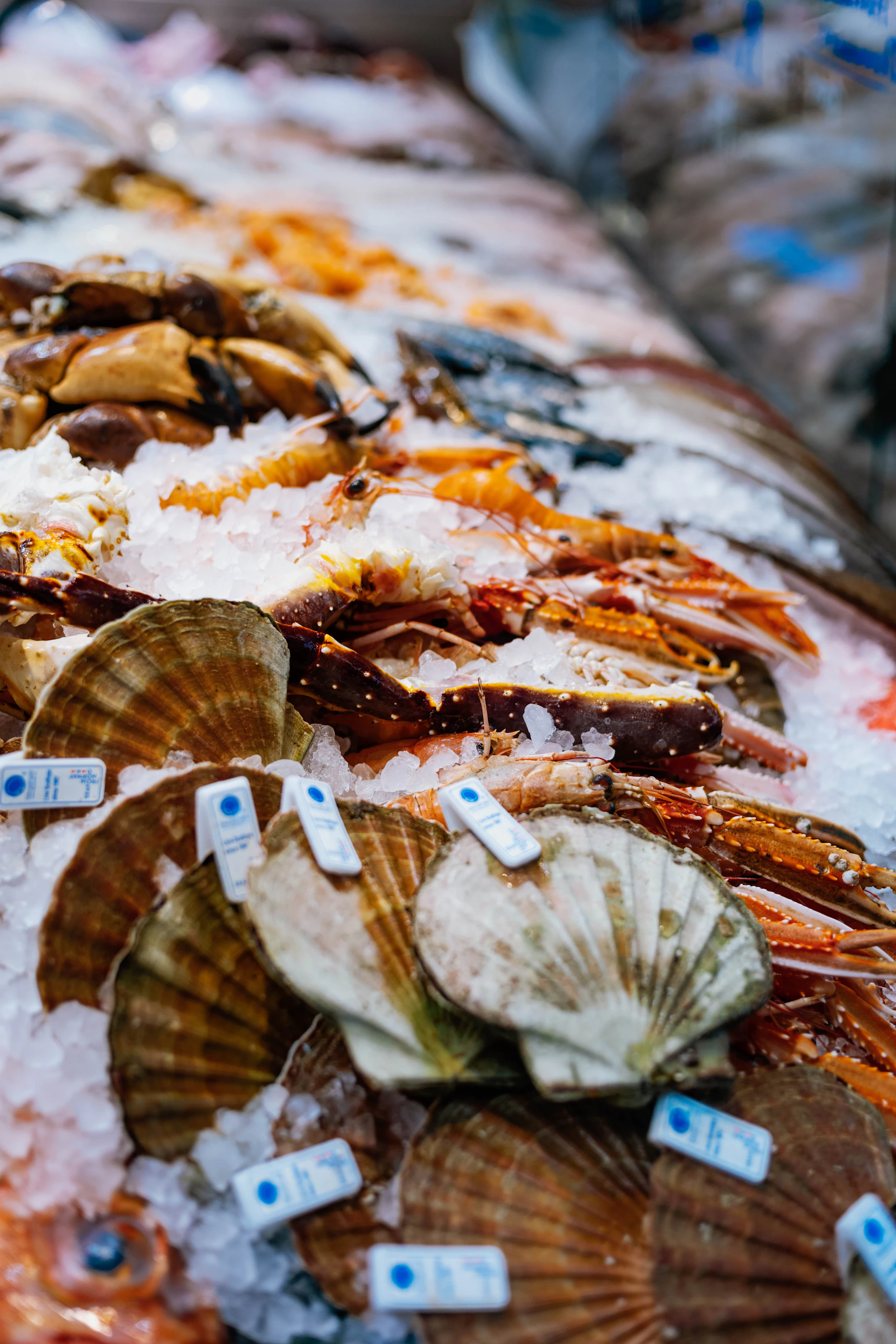 A bunch of different types of seafood on ice