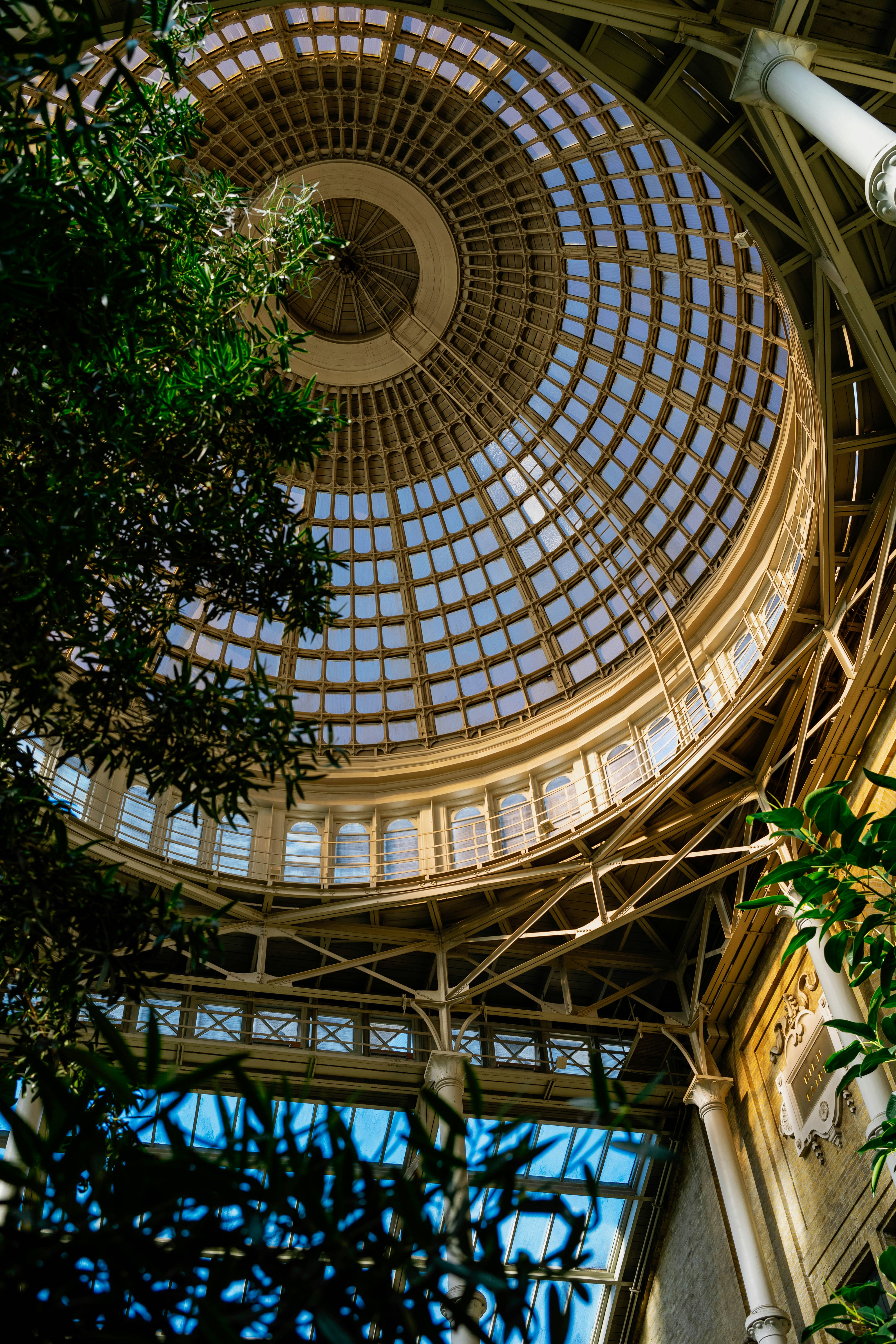 Photo by tommaomaoer