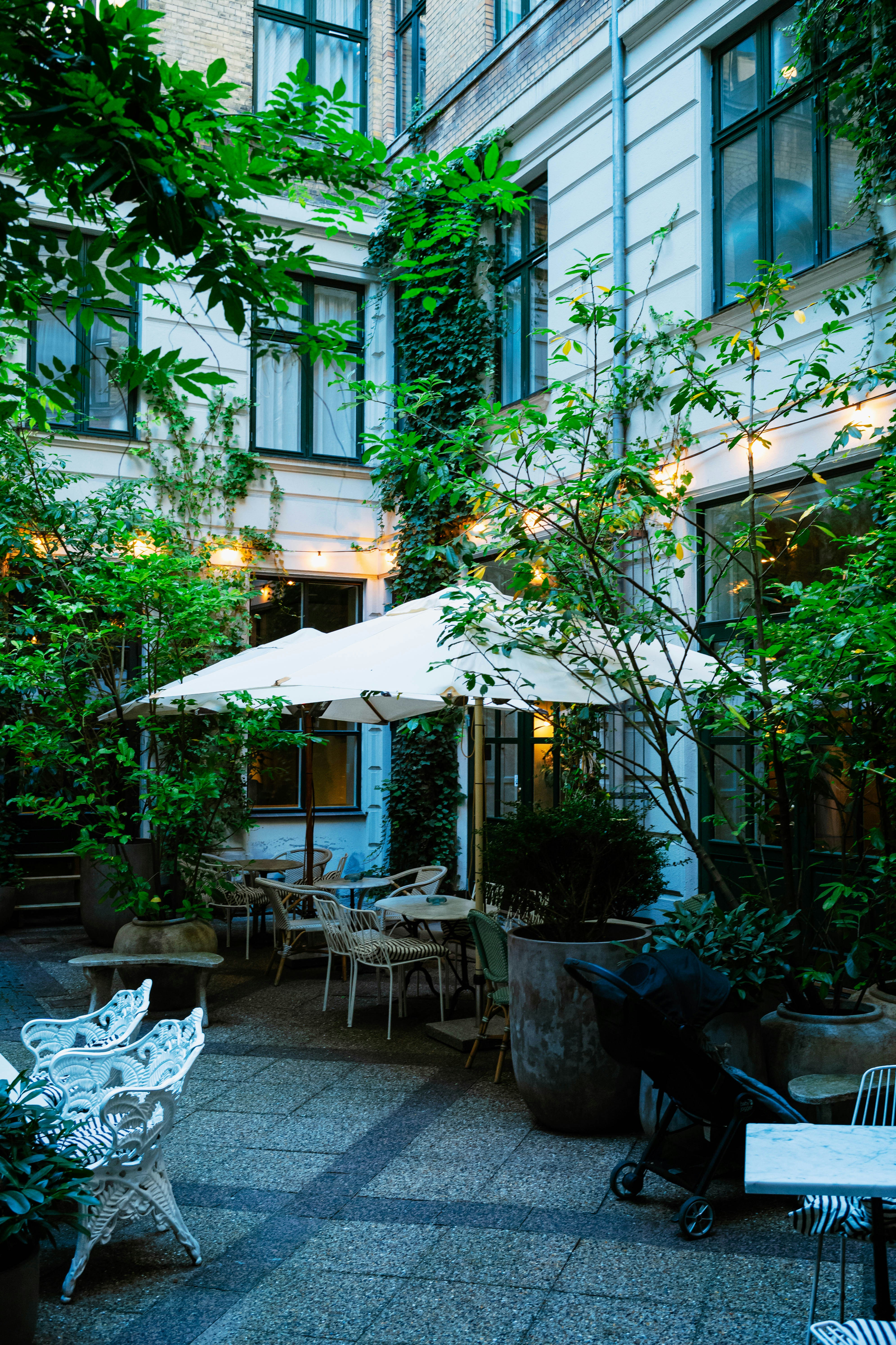 Photo by tommaomaoer