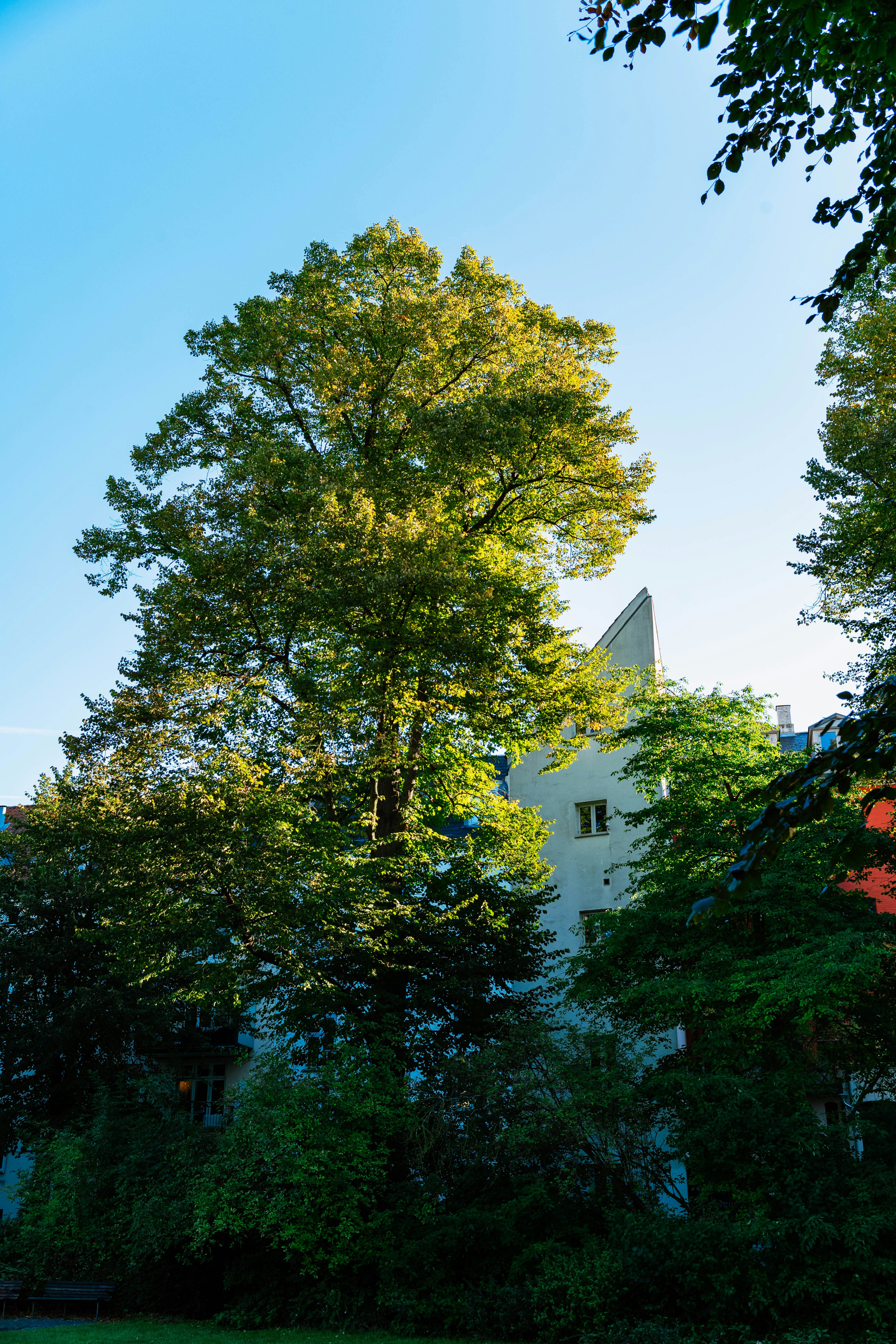 Photo by tommaomaoer