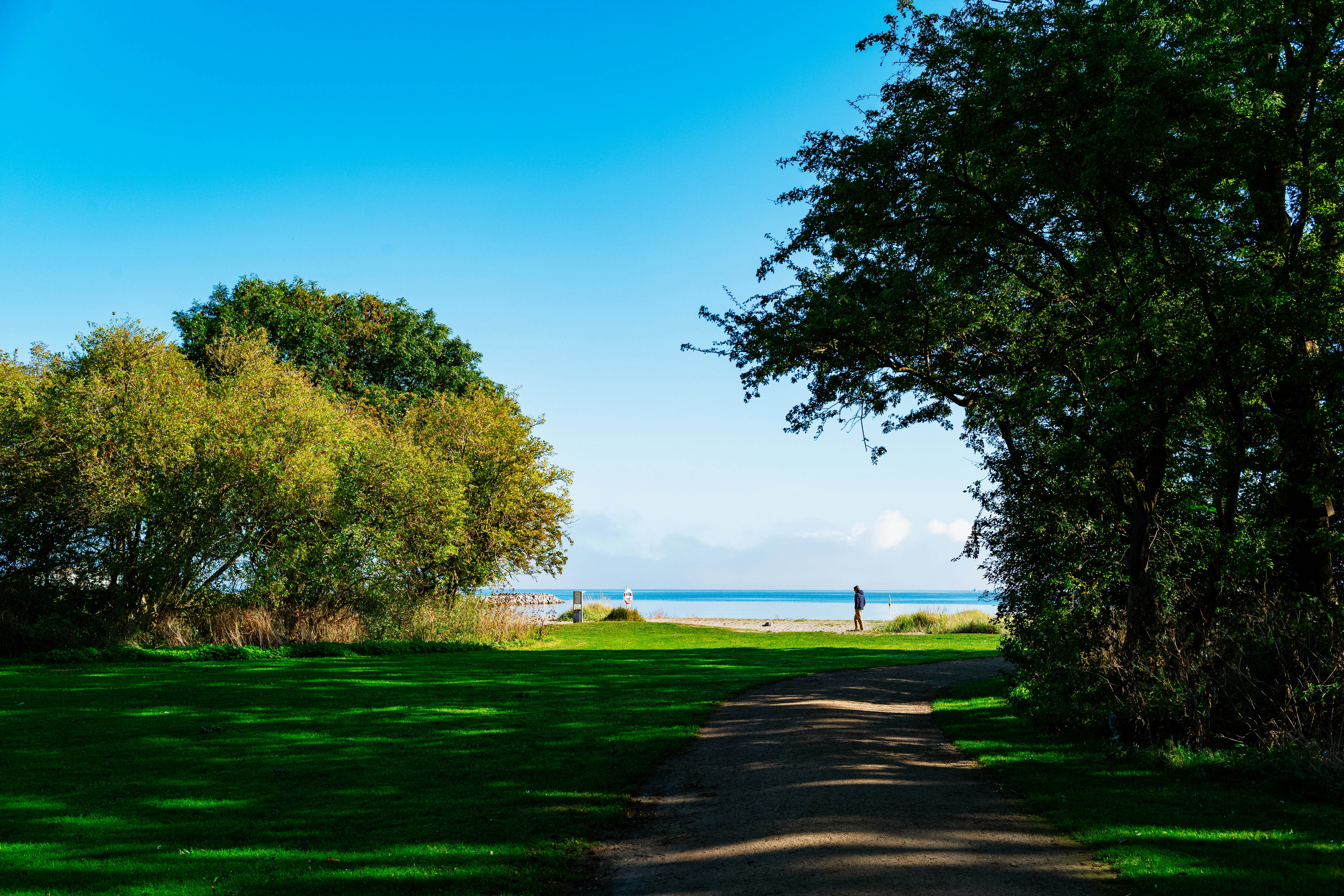 Photo by tommaomaoer