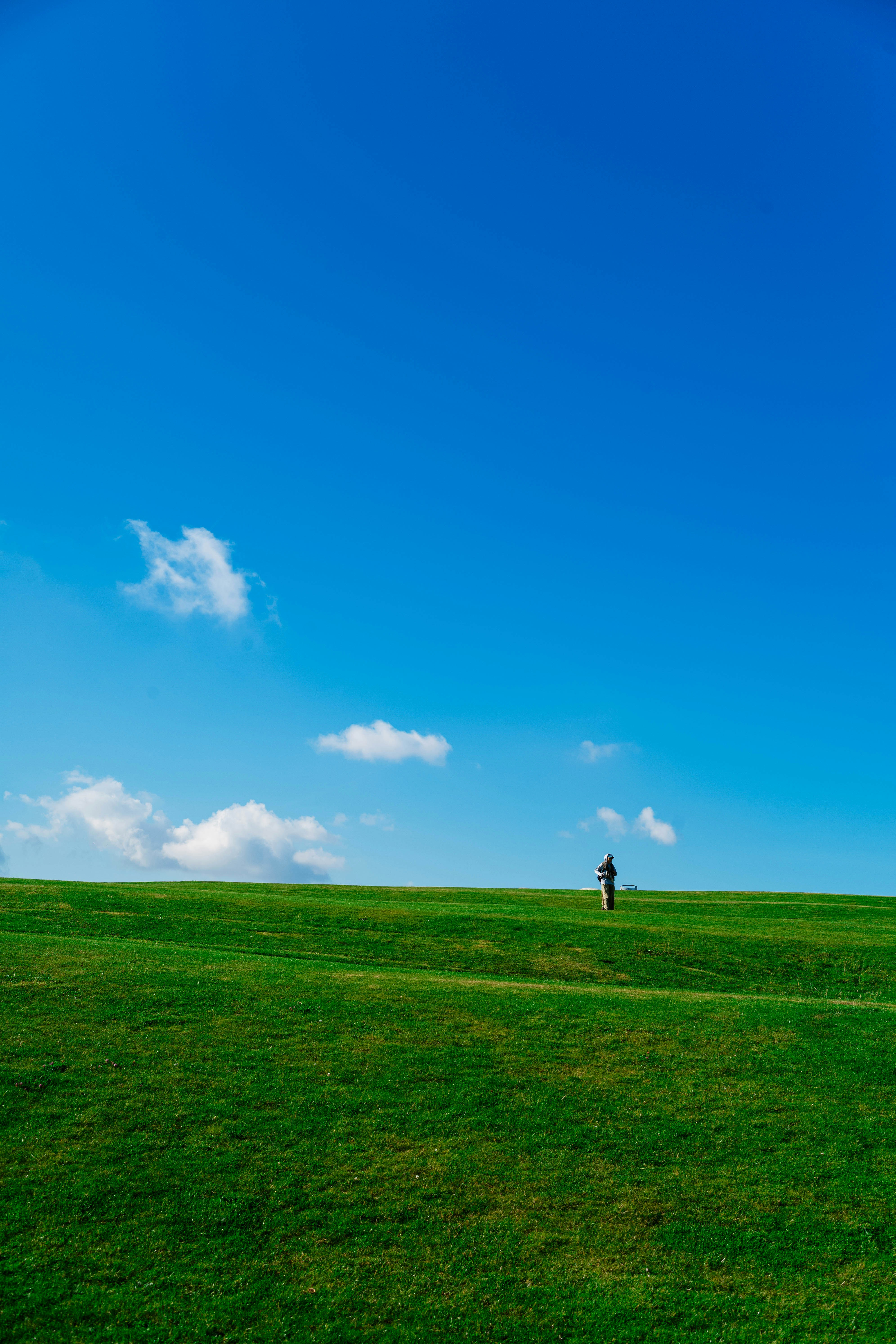 Photo by tommaomaoer