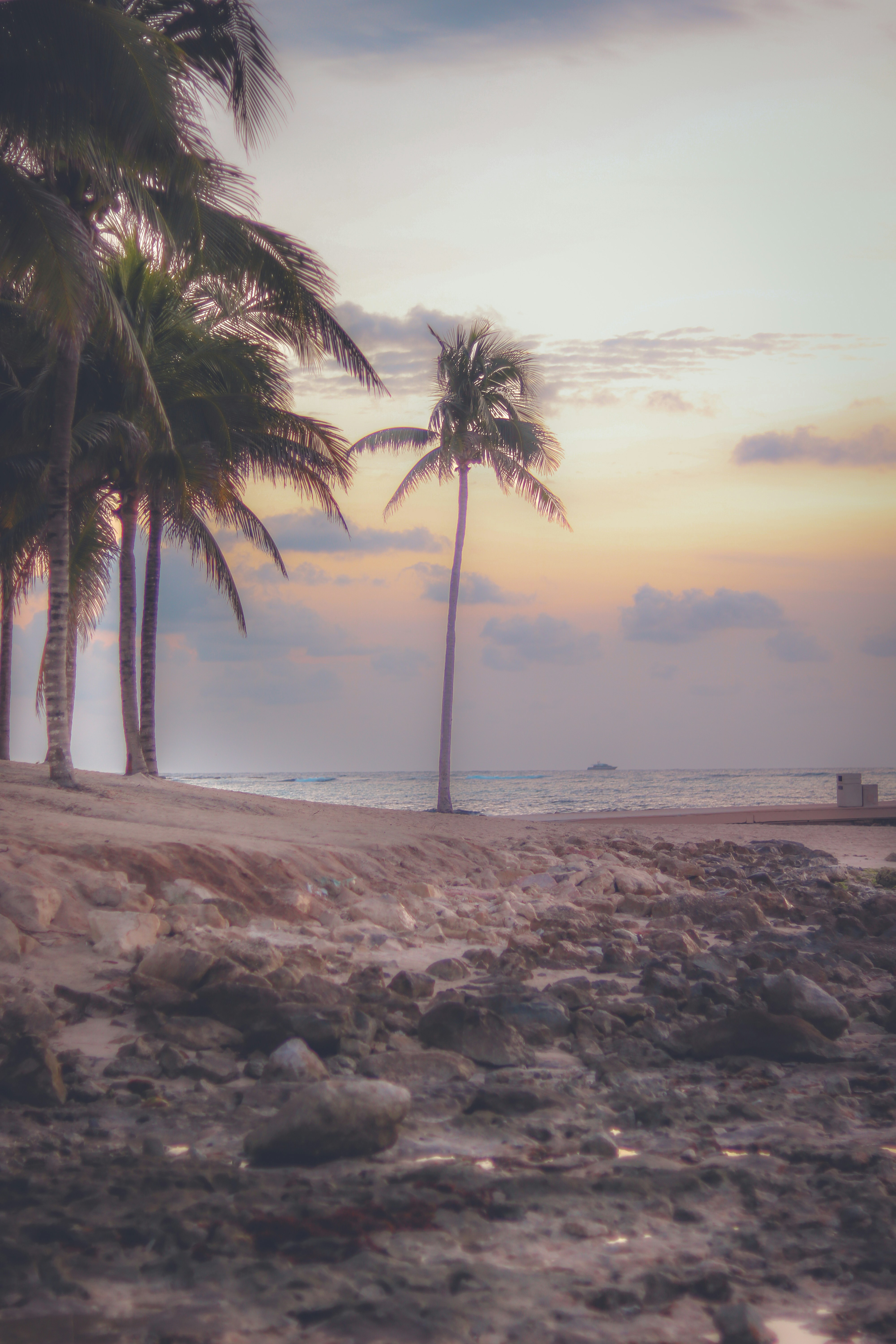 Photo by heberdavisphotography