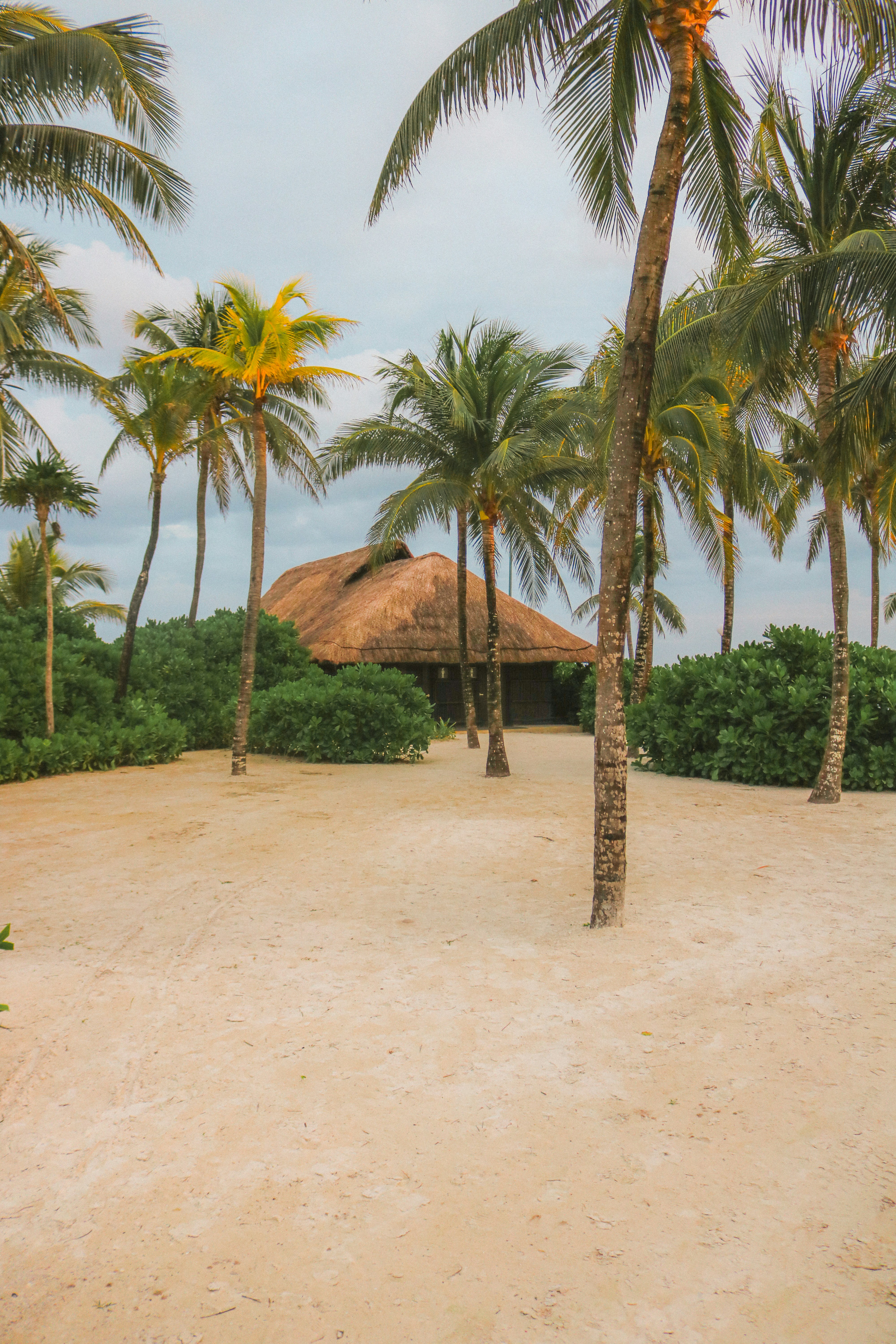 Photo by heberdavisphotography