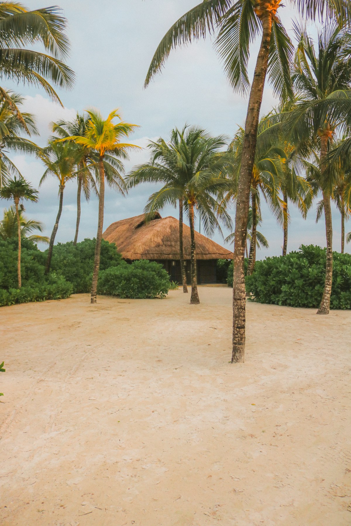 Thatched-roof palapa surrounded by palm trees on a Cancún beach