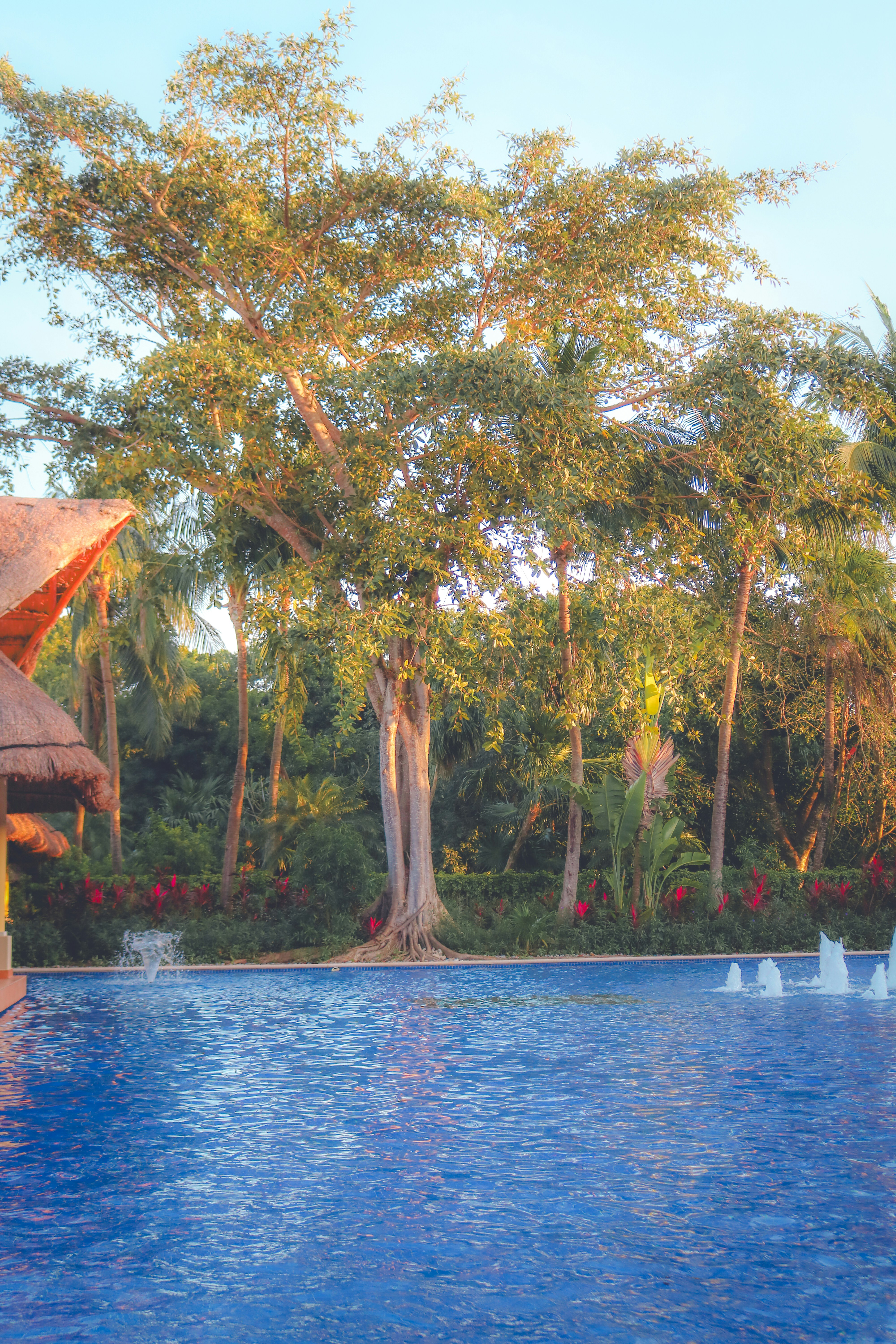 Photo by heberdavisphotography