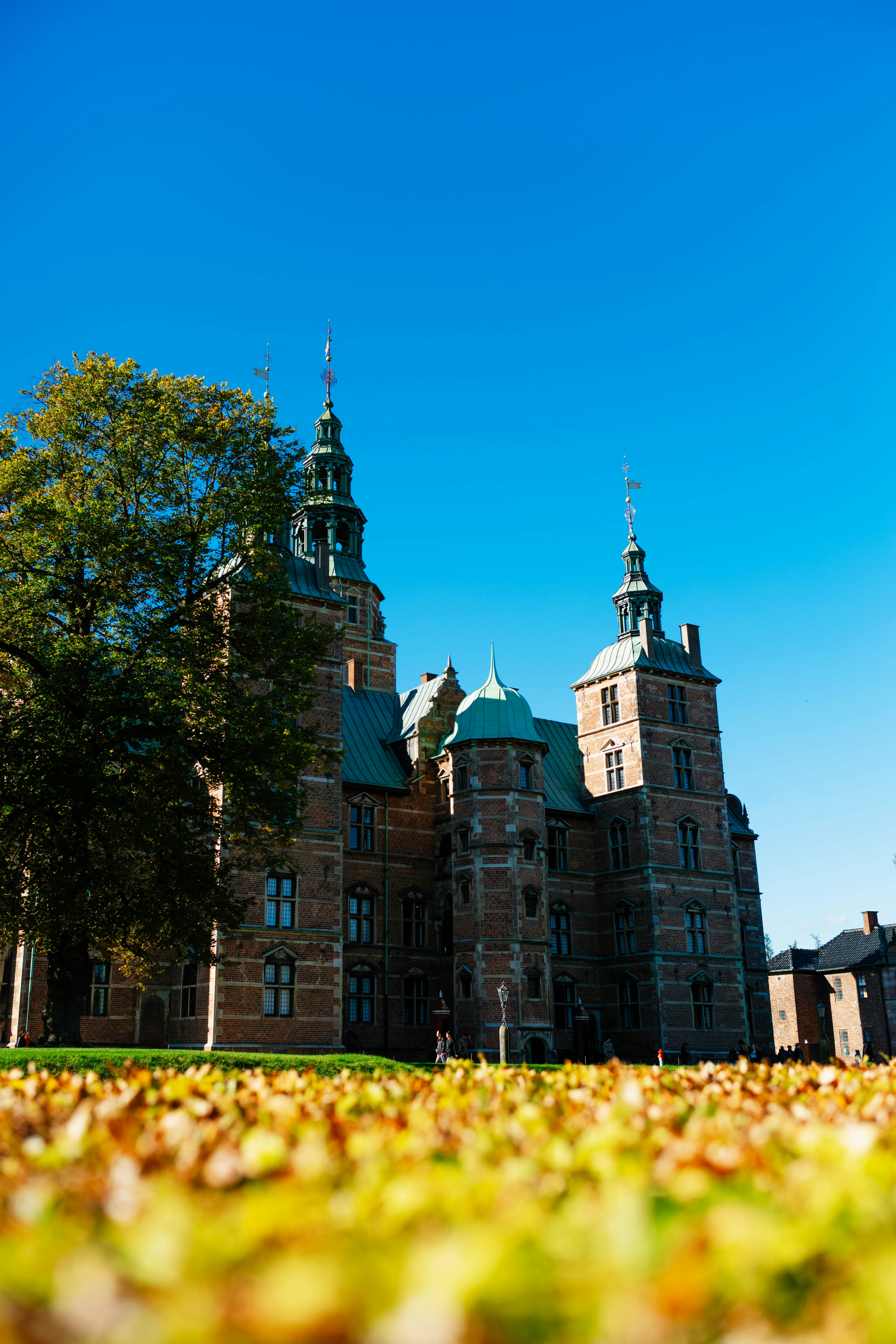 Photo by tommaomaoer