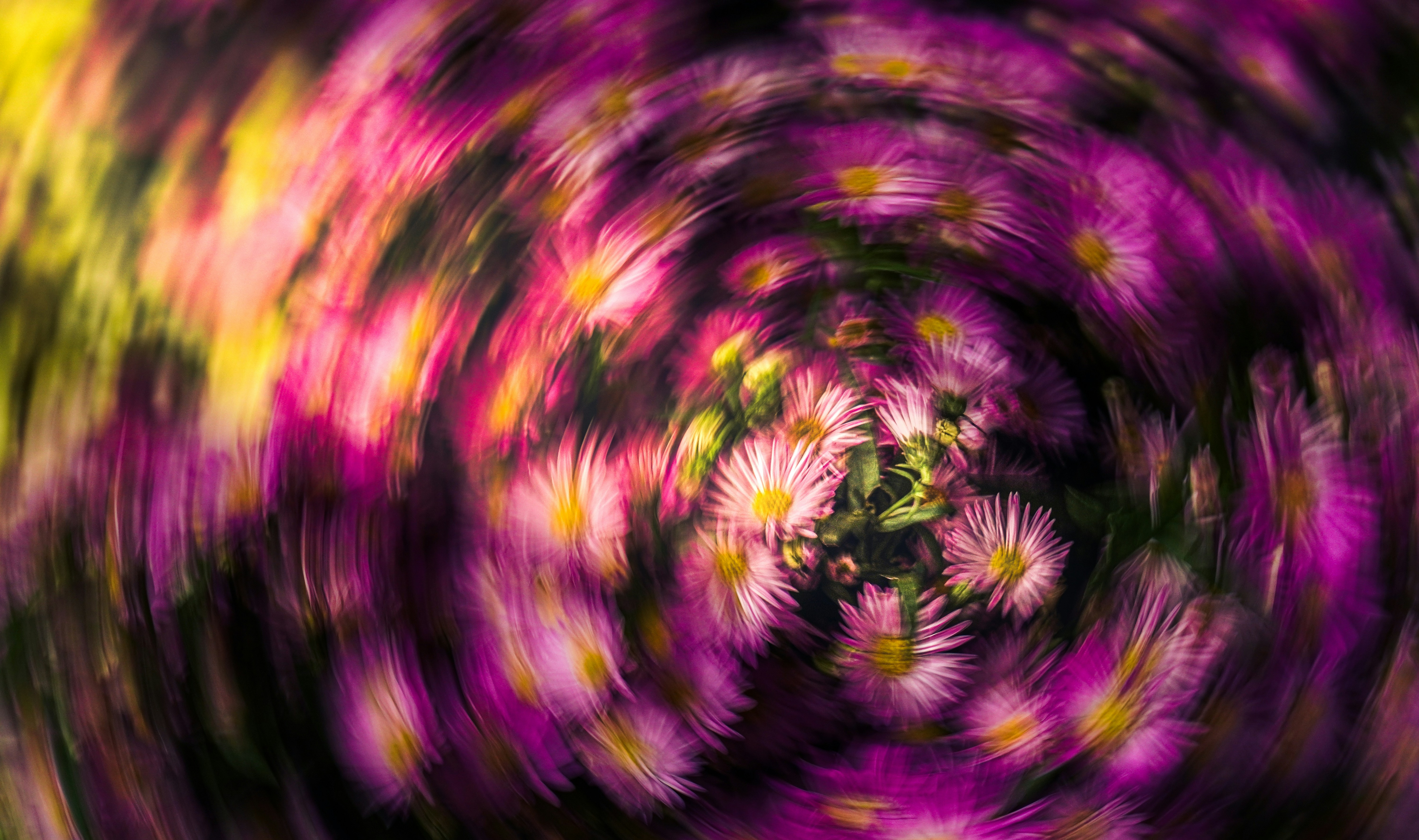 Photo by phankhoi040402005