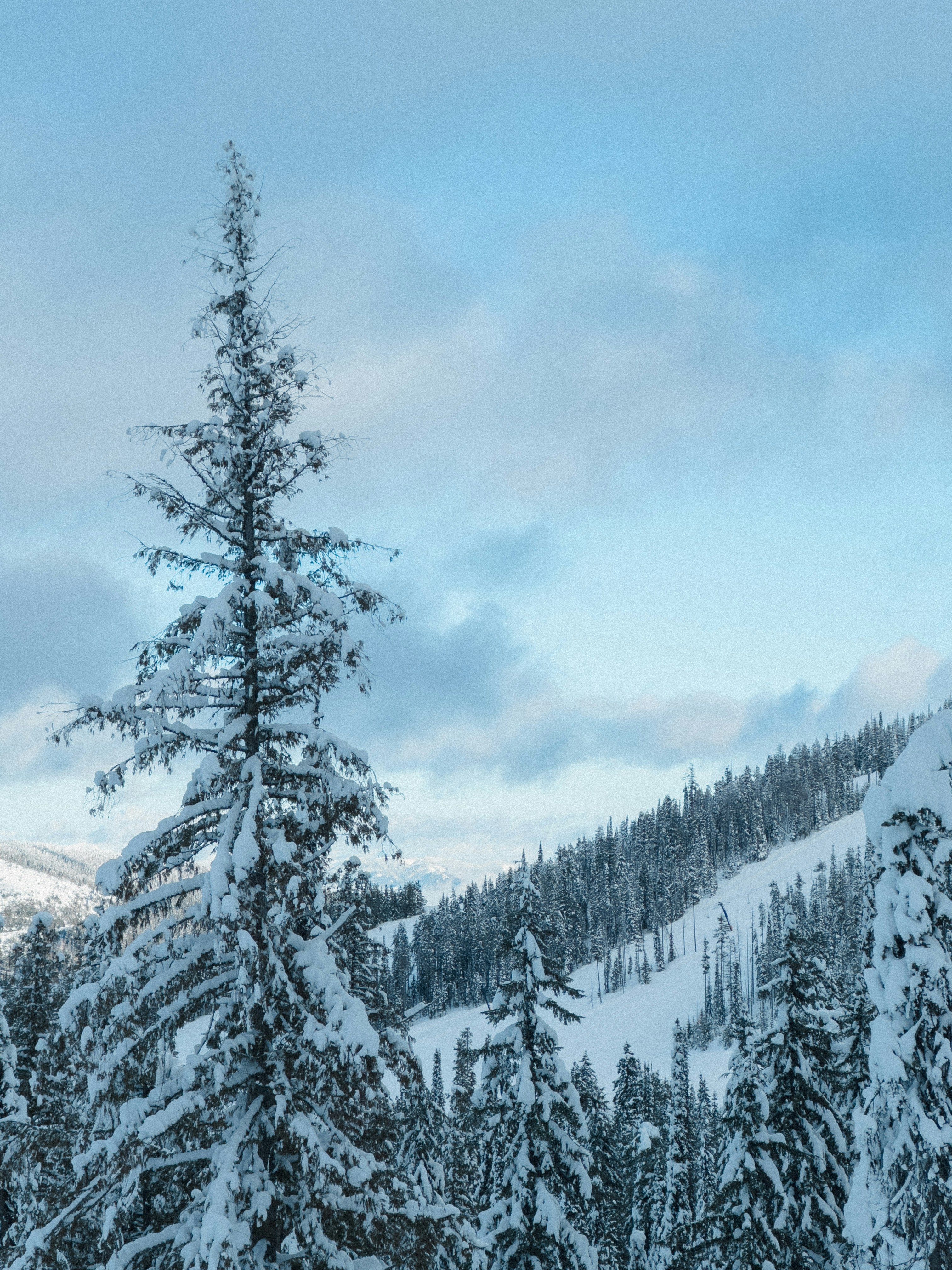 Photo by kamerondesign