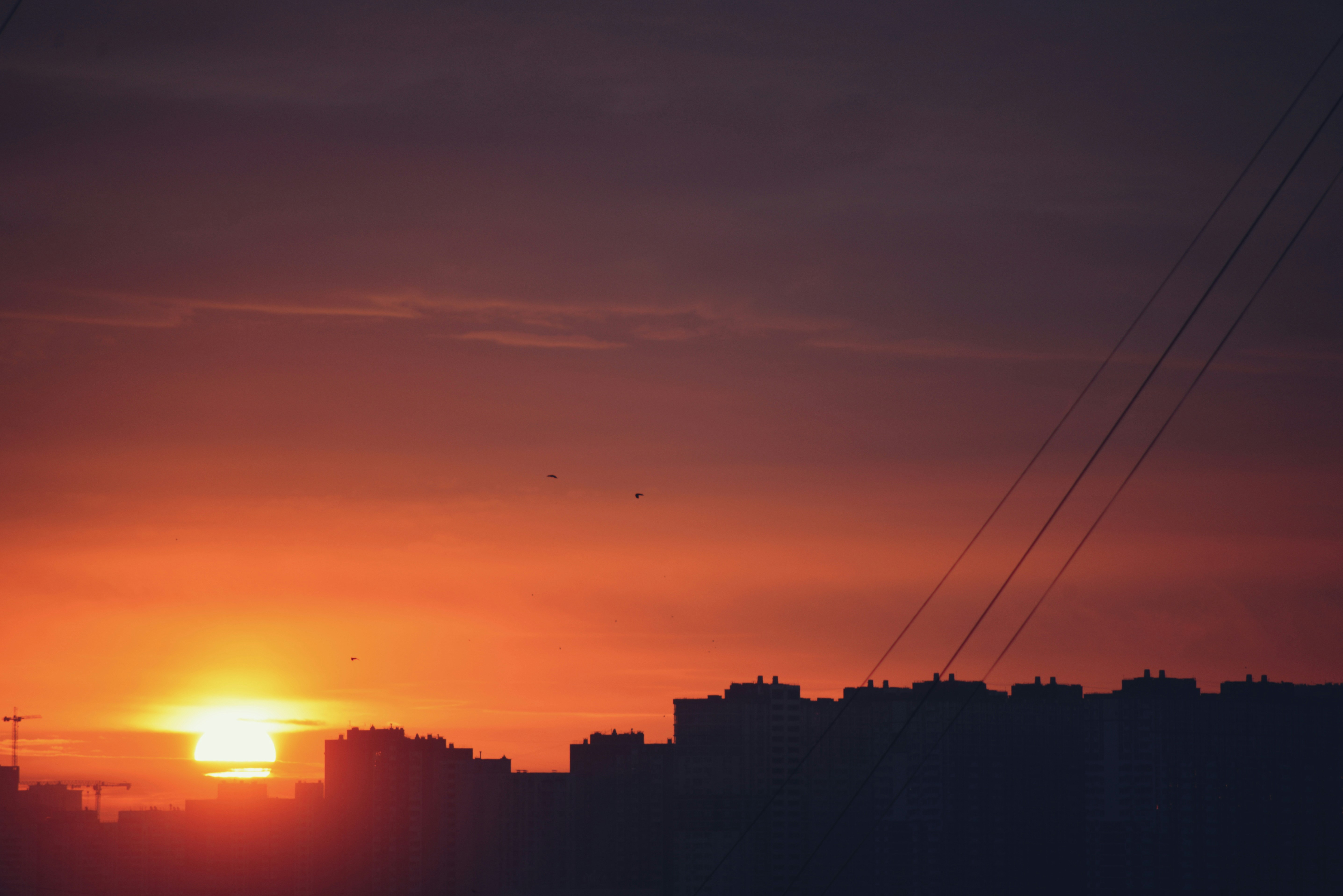 Photo by cherstve_pechivo