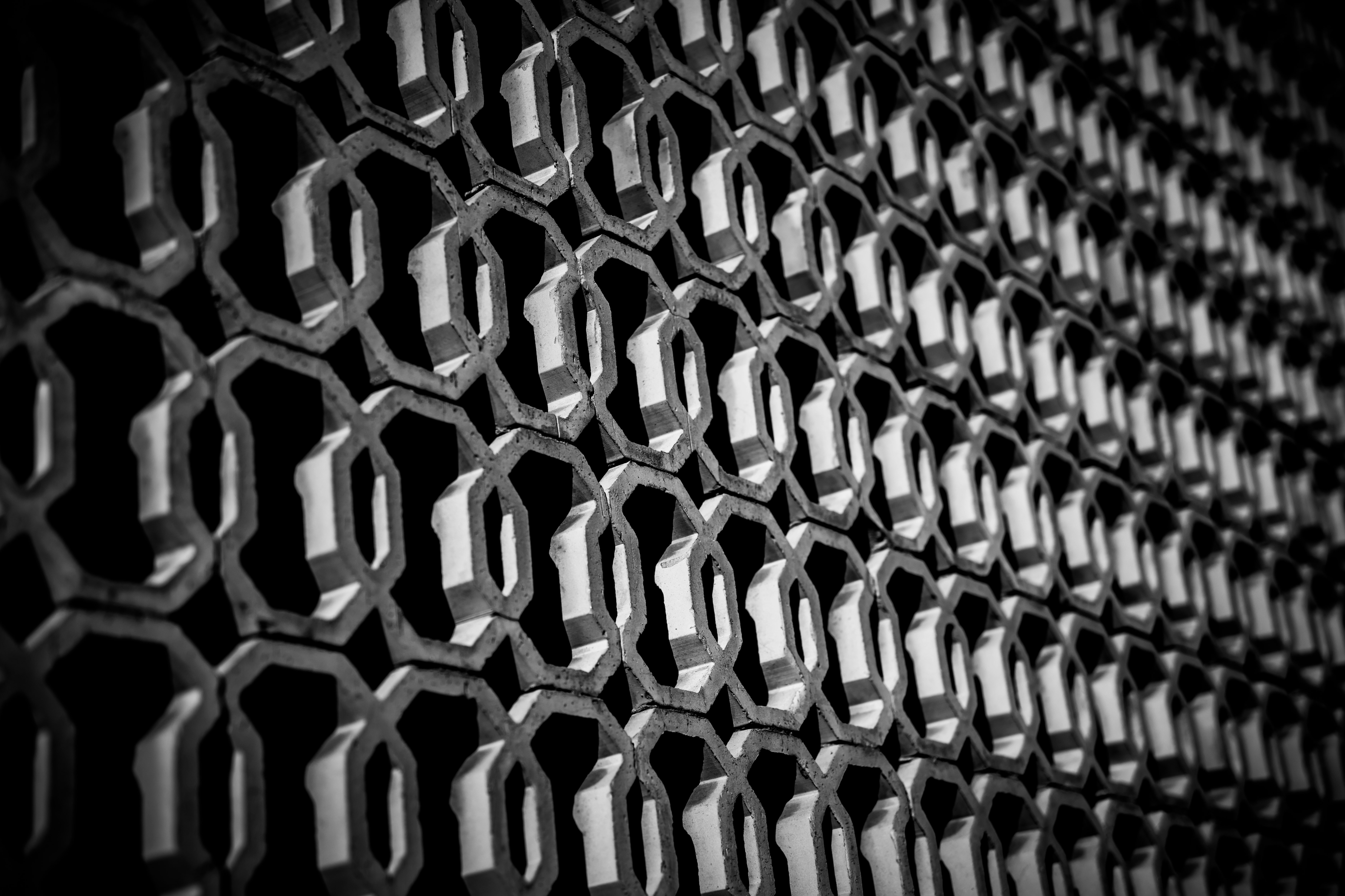 Photo by alphaperspective