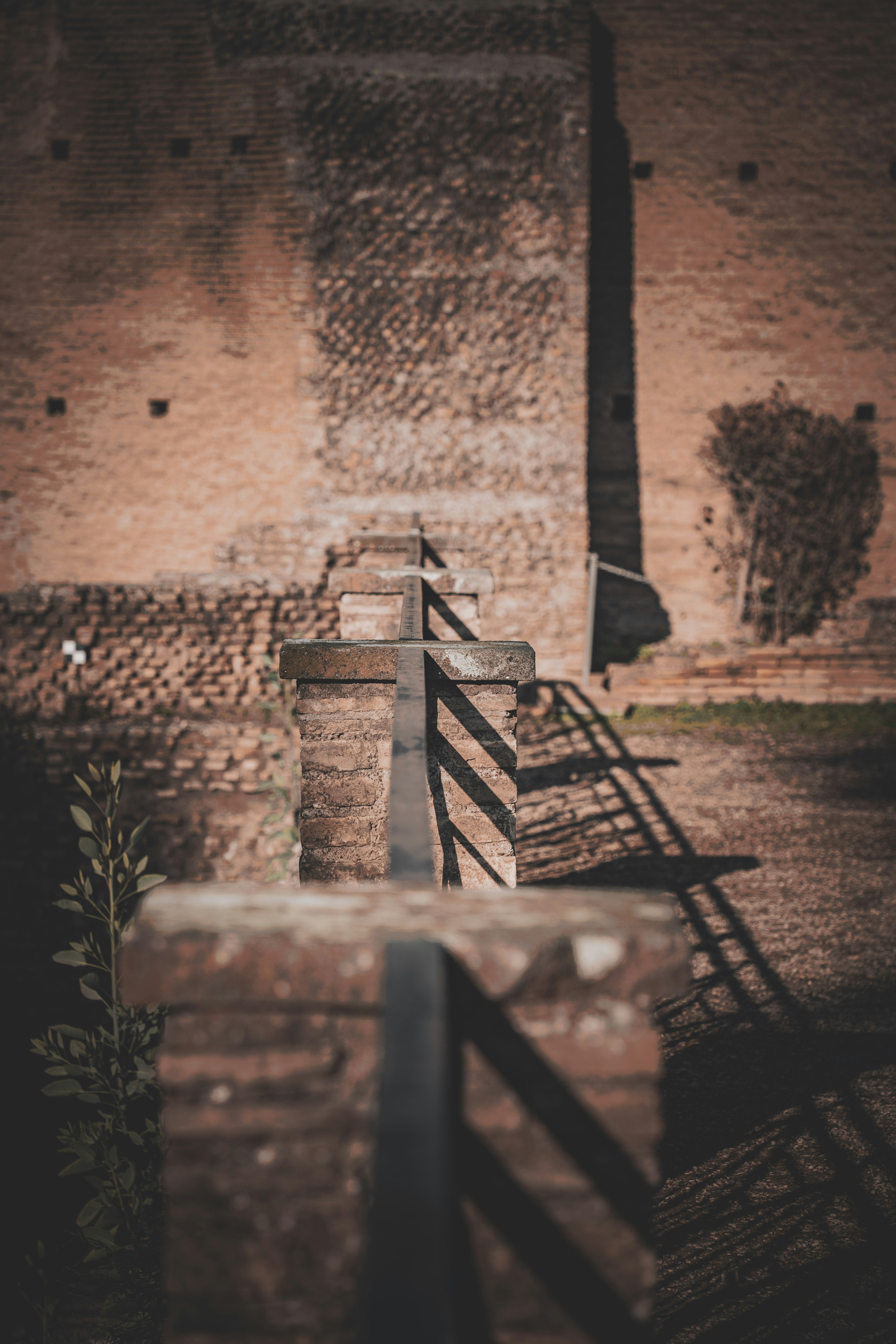 Photo by alphaperspective