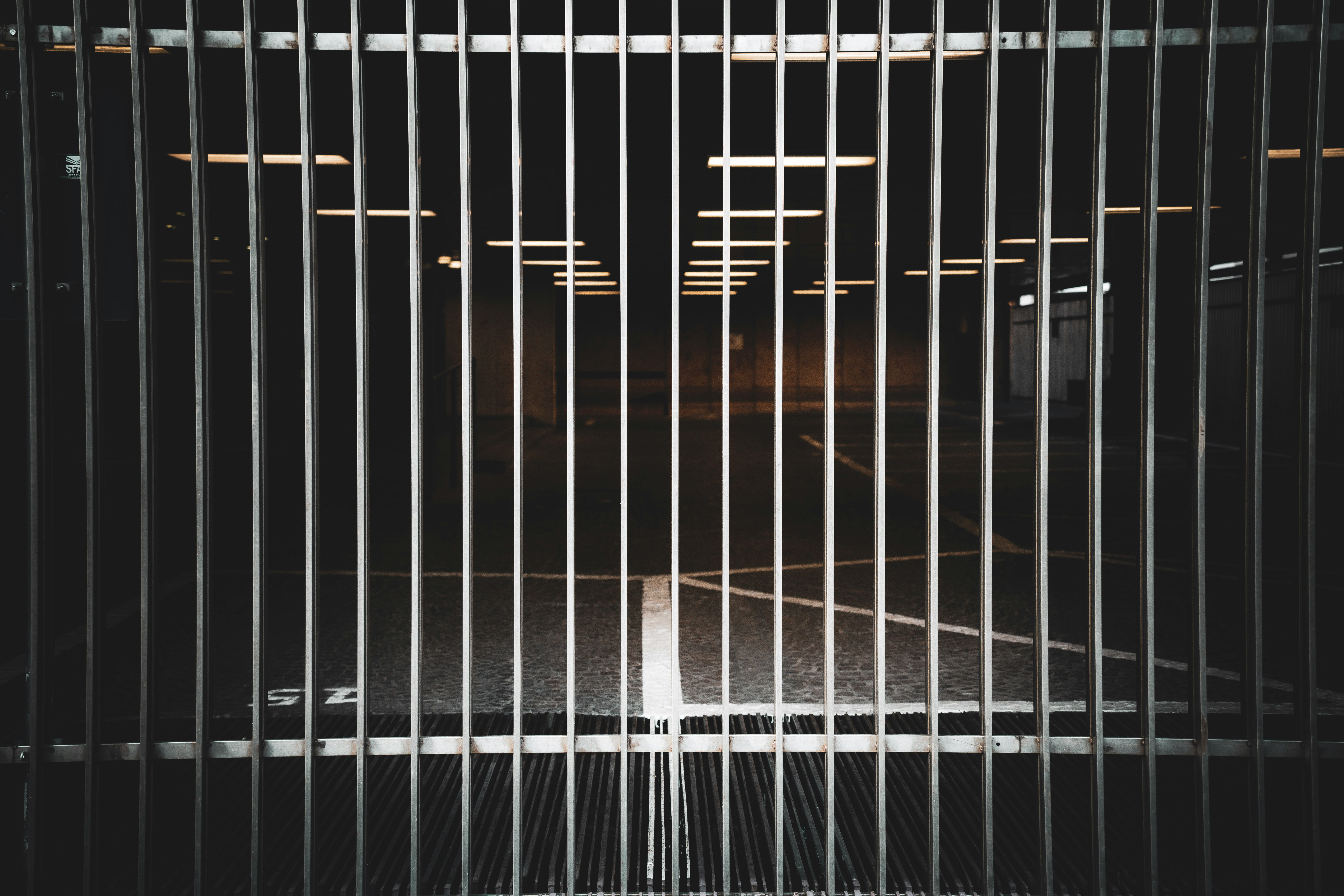 Redeemed for Profit: The Political Economy of Innocence and the Limits of Carceral Reform