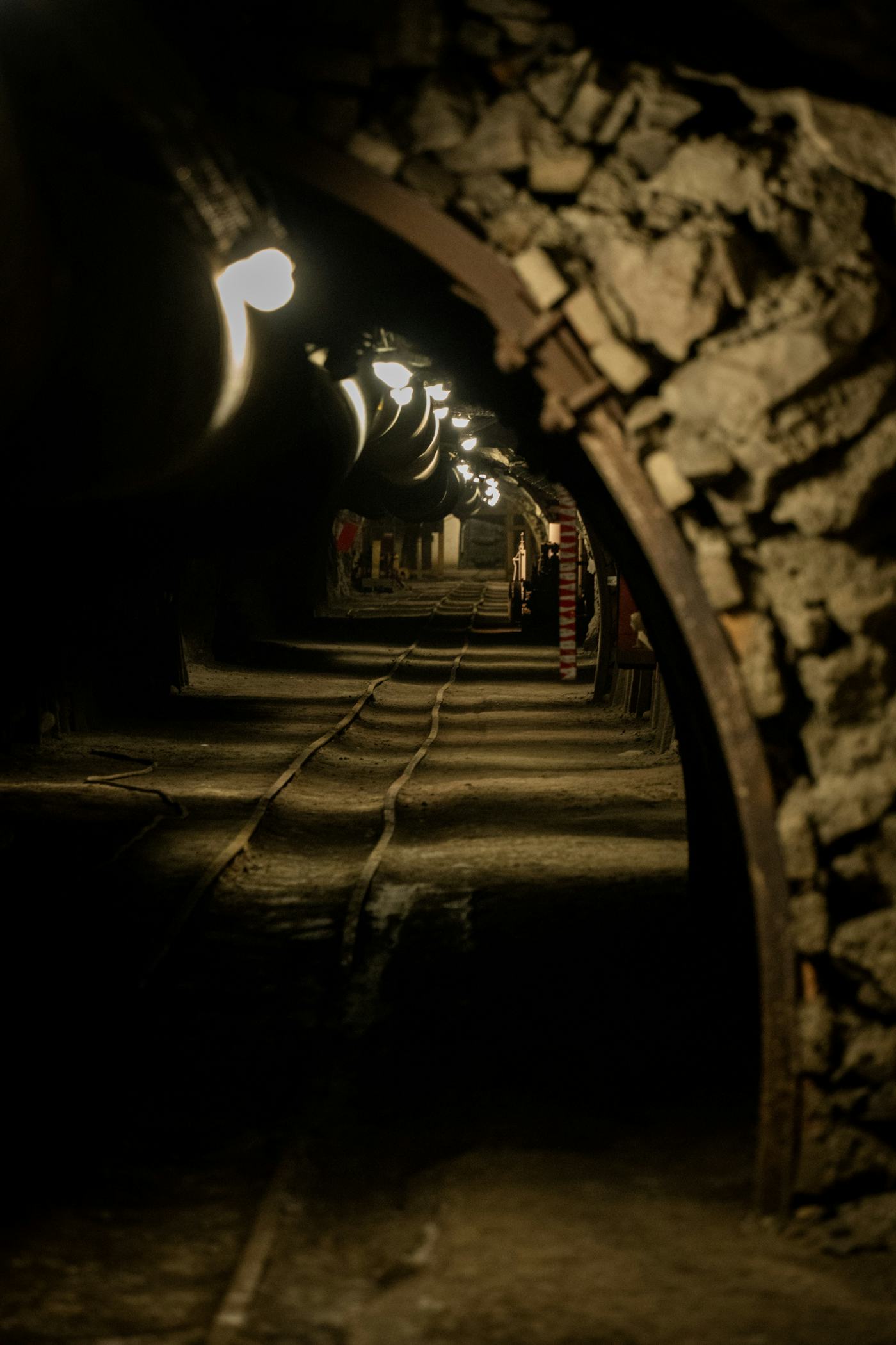 Cover Image of the Post