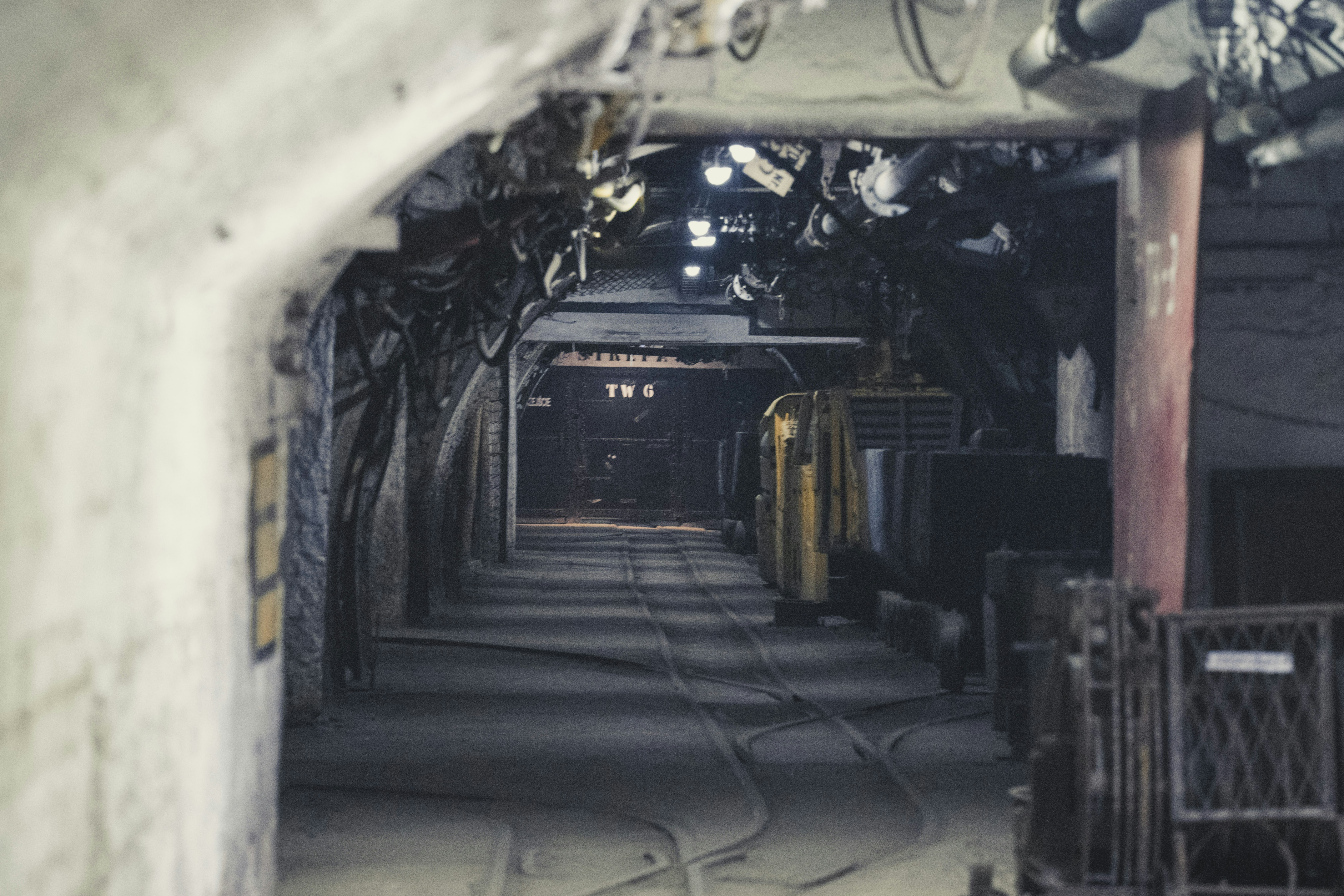 Photo by alphaperspective