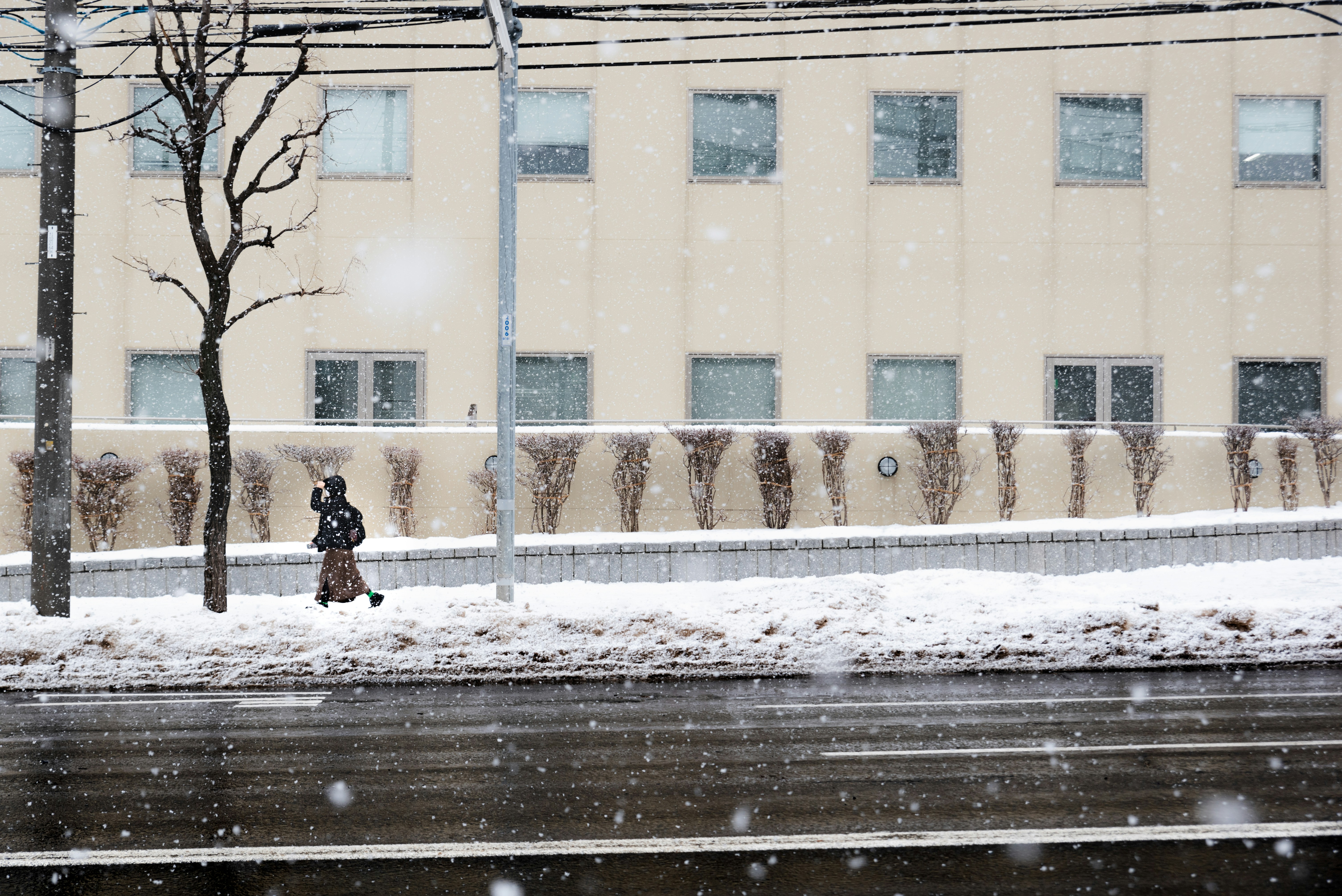 A person walking down the street in the snow