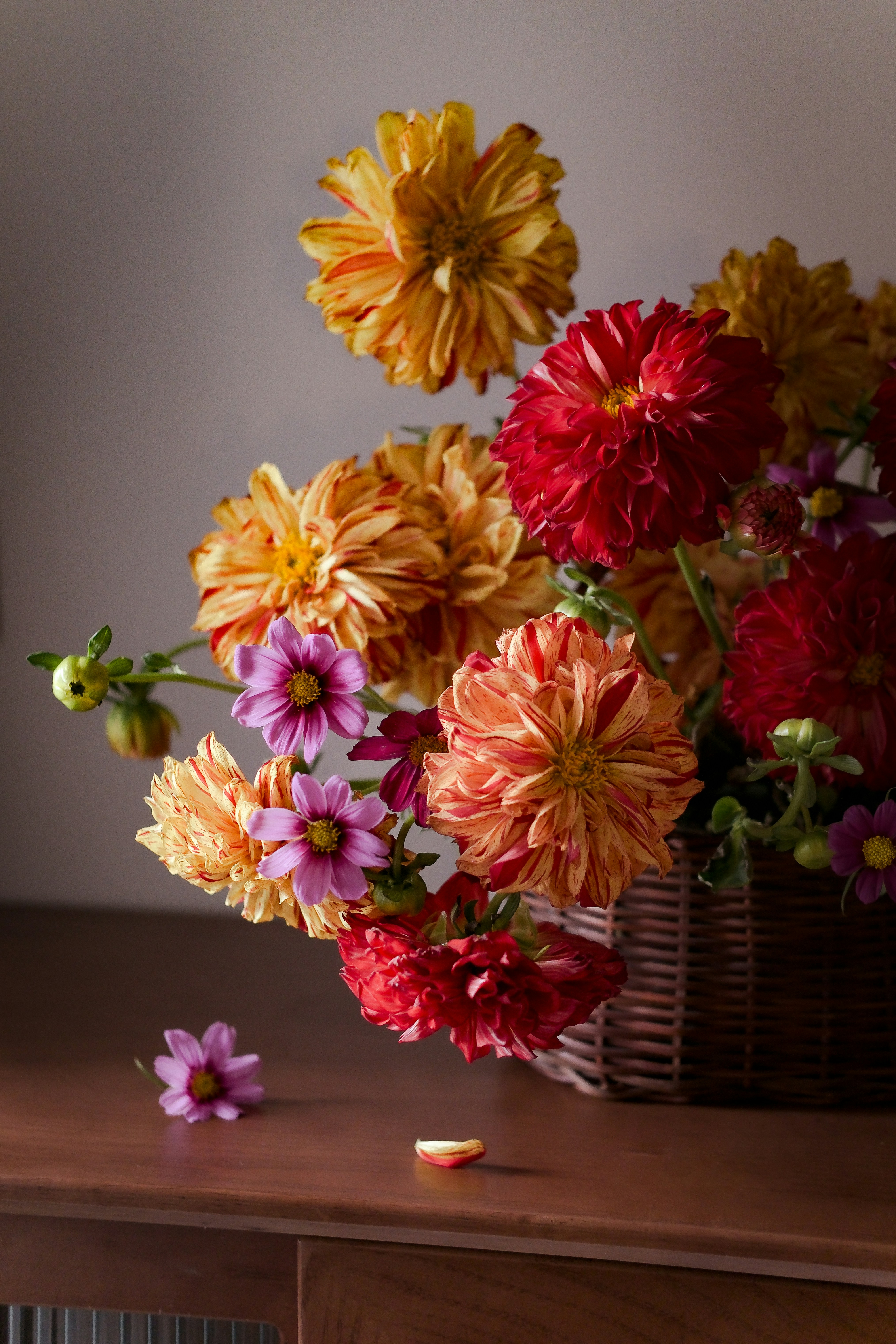 Photo by nganduong93