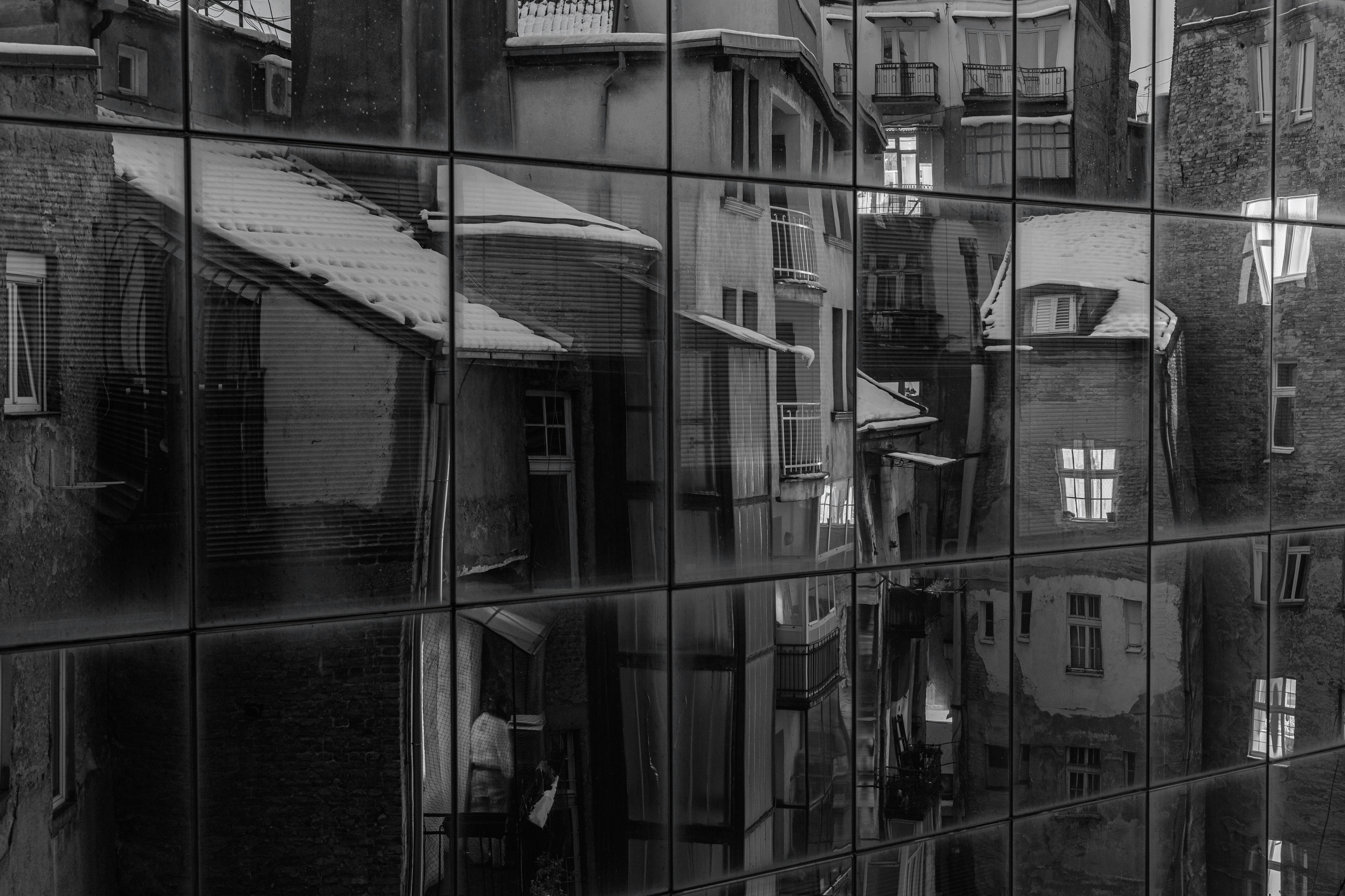 Photo by took_a_snap