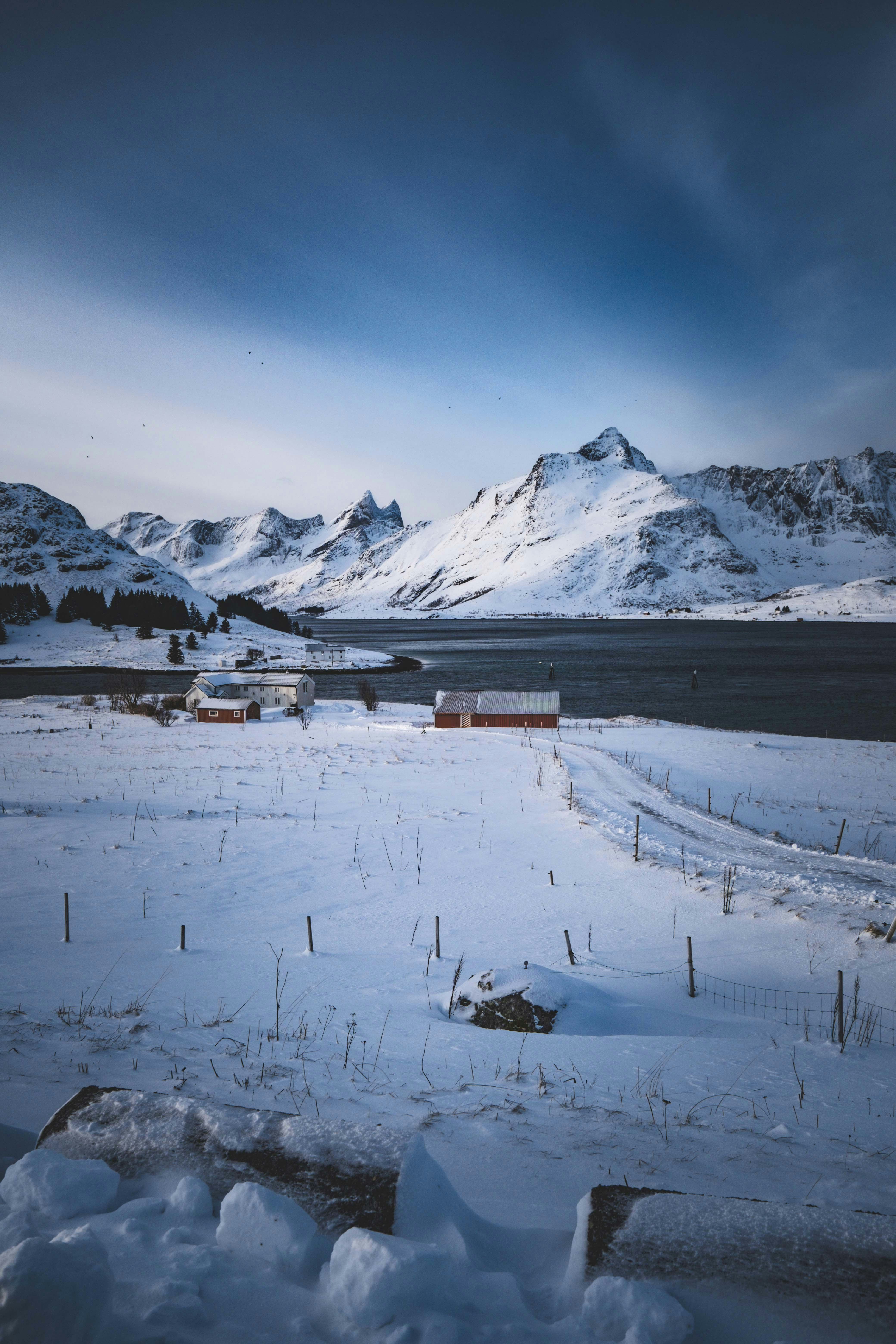 Photo by francesco_ungaro